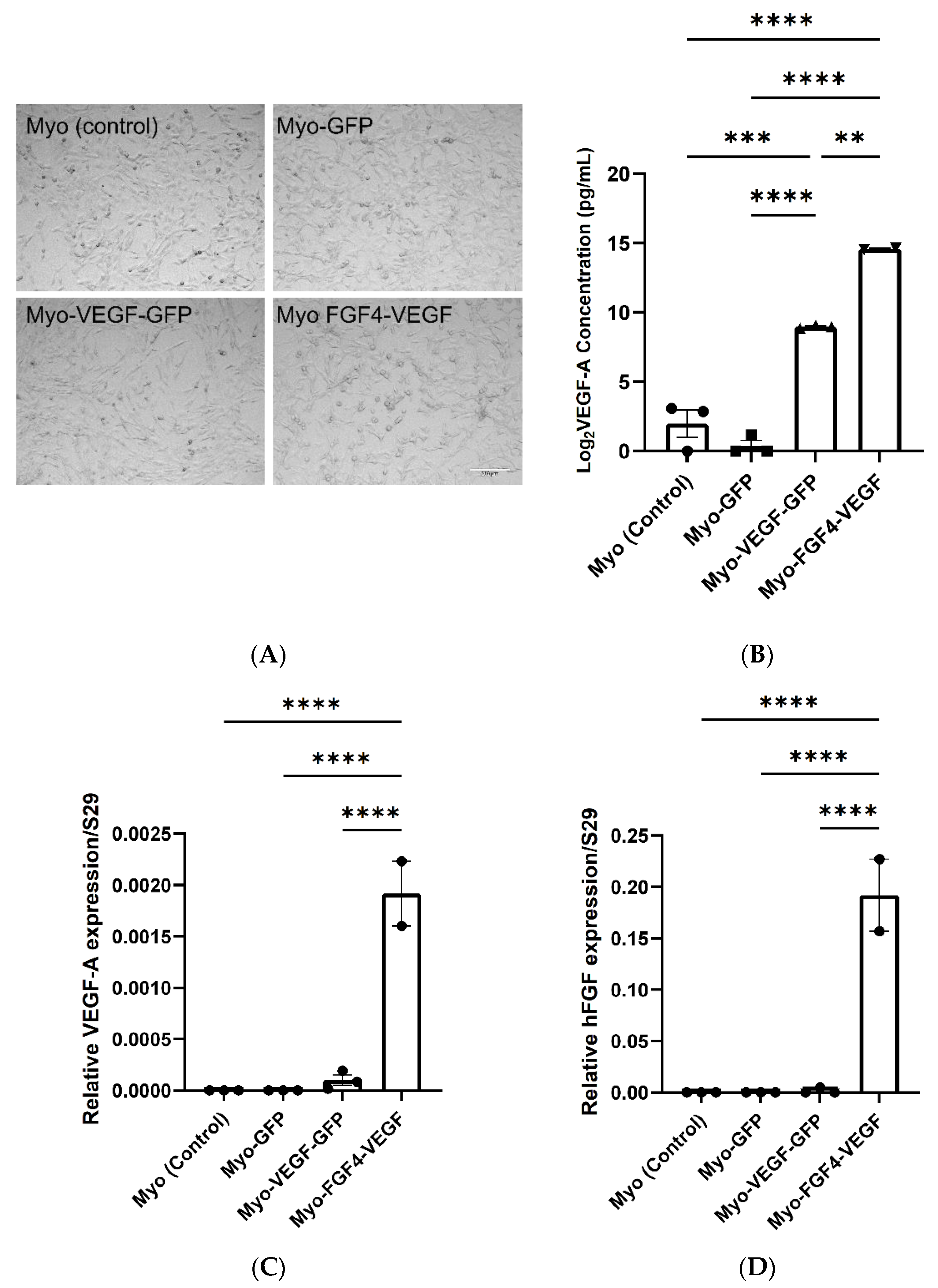 Biomedicines 10 01781 g001 Biomedicines 10 01781 g001