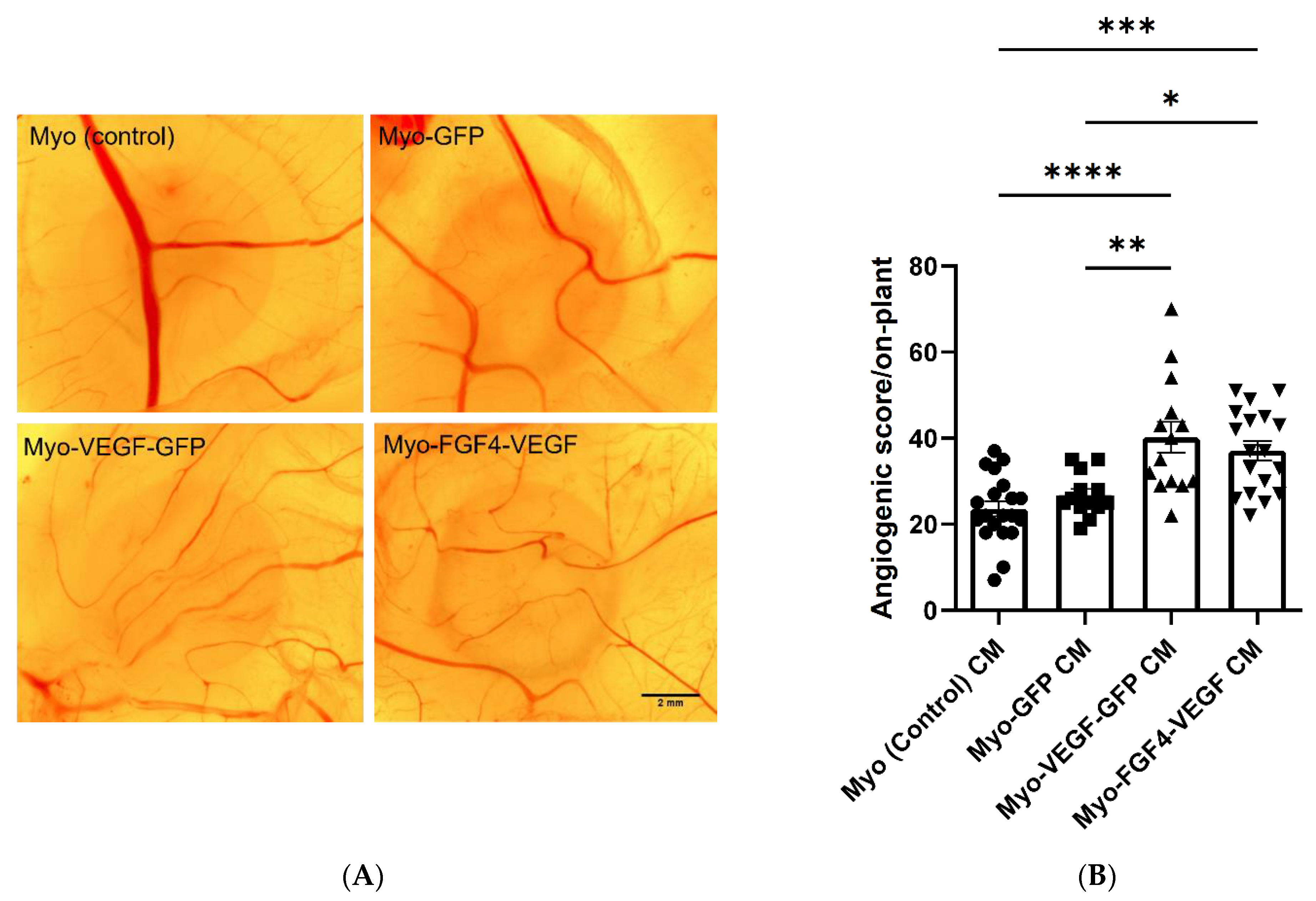 Biomedicines 10 01781 g004 Biomedicines 10 01781 g004
