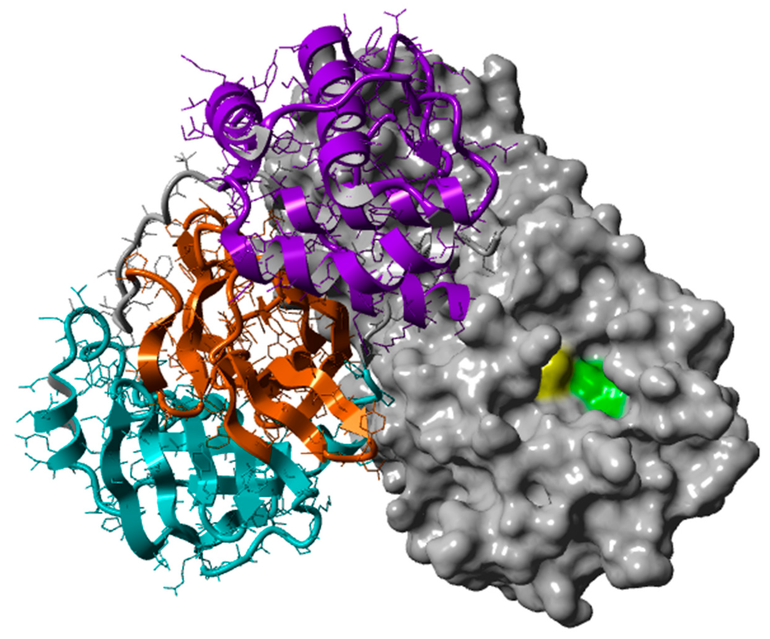 Biomedicines 10 01787 g001 Biomedicines 10 01787 g001