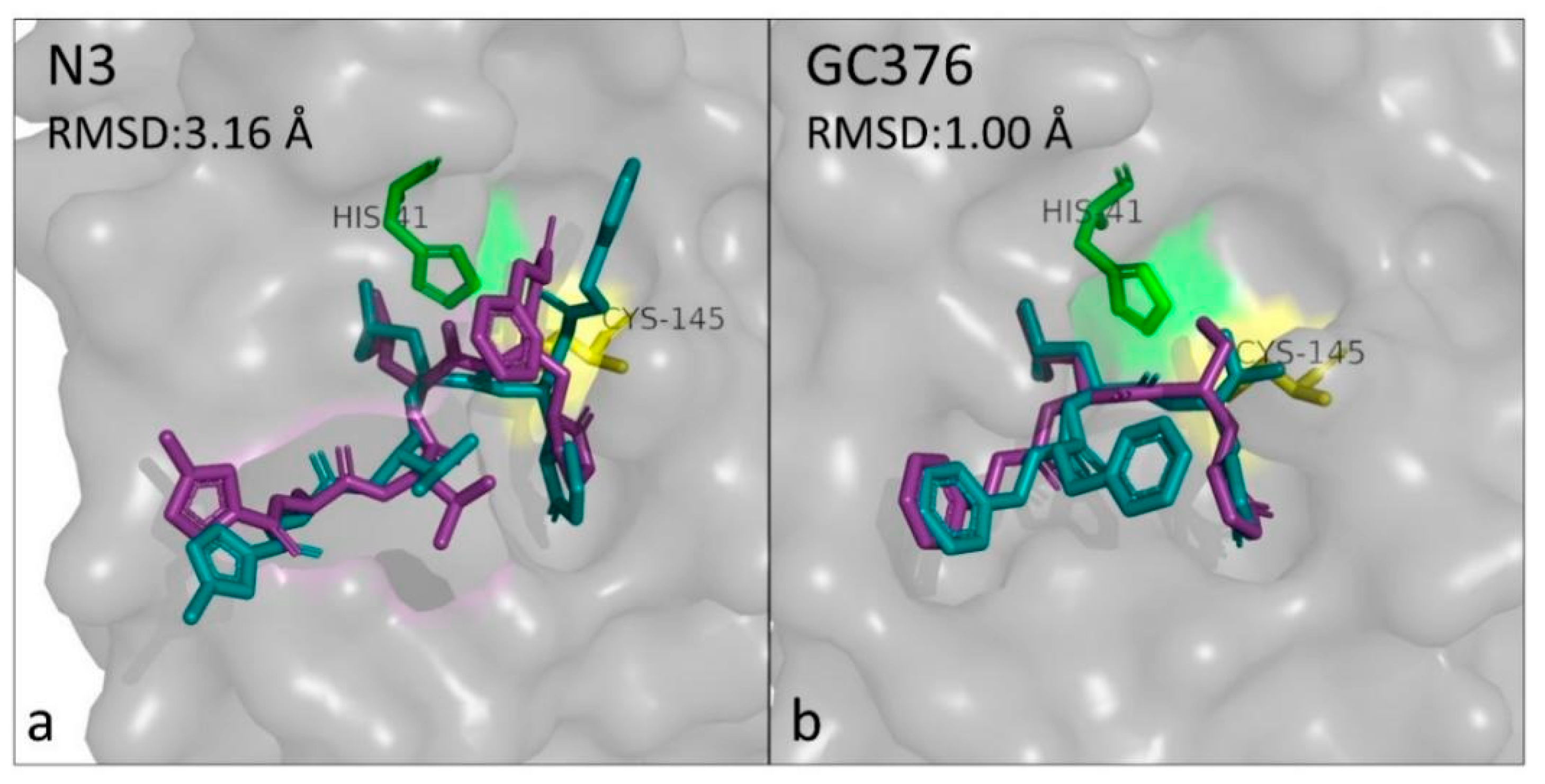 Biomedicines 10 01787 g002 Biomedicines 10 01787 g002