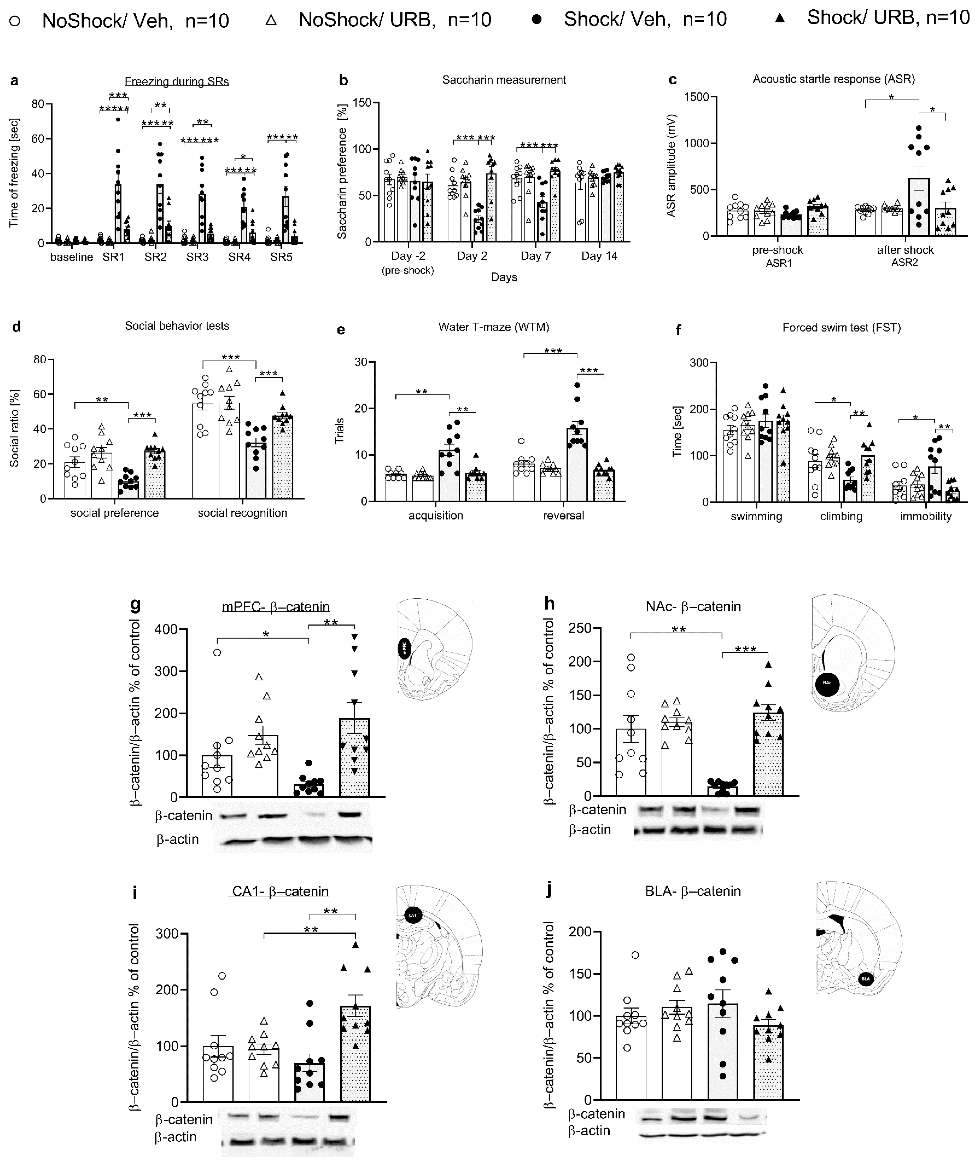 Biomedicines 10 01789 g001
