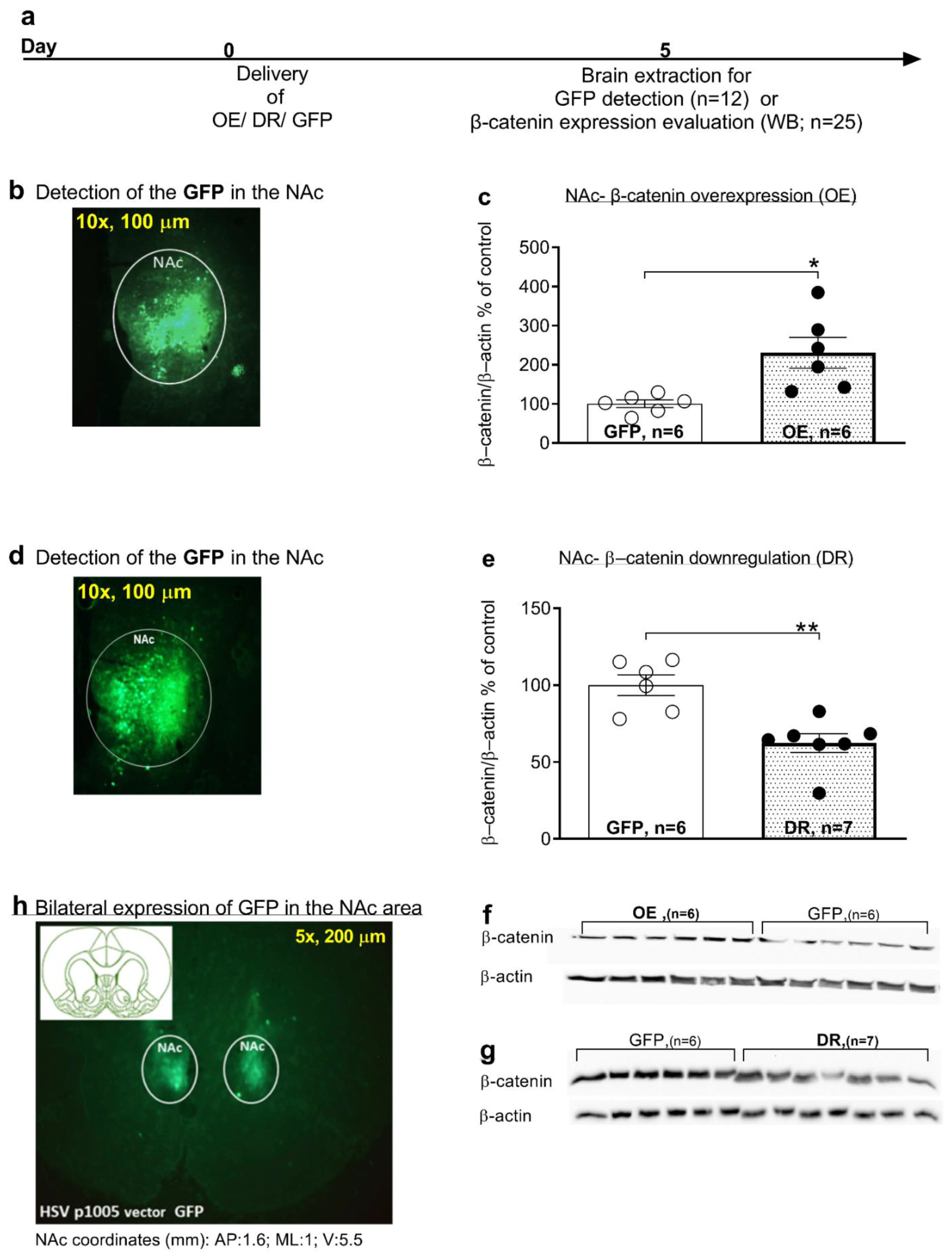 Biomedicines 10 01789 g003