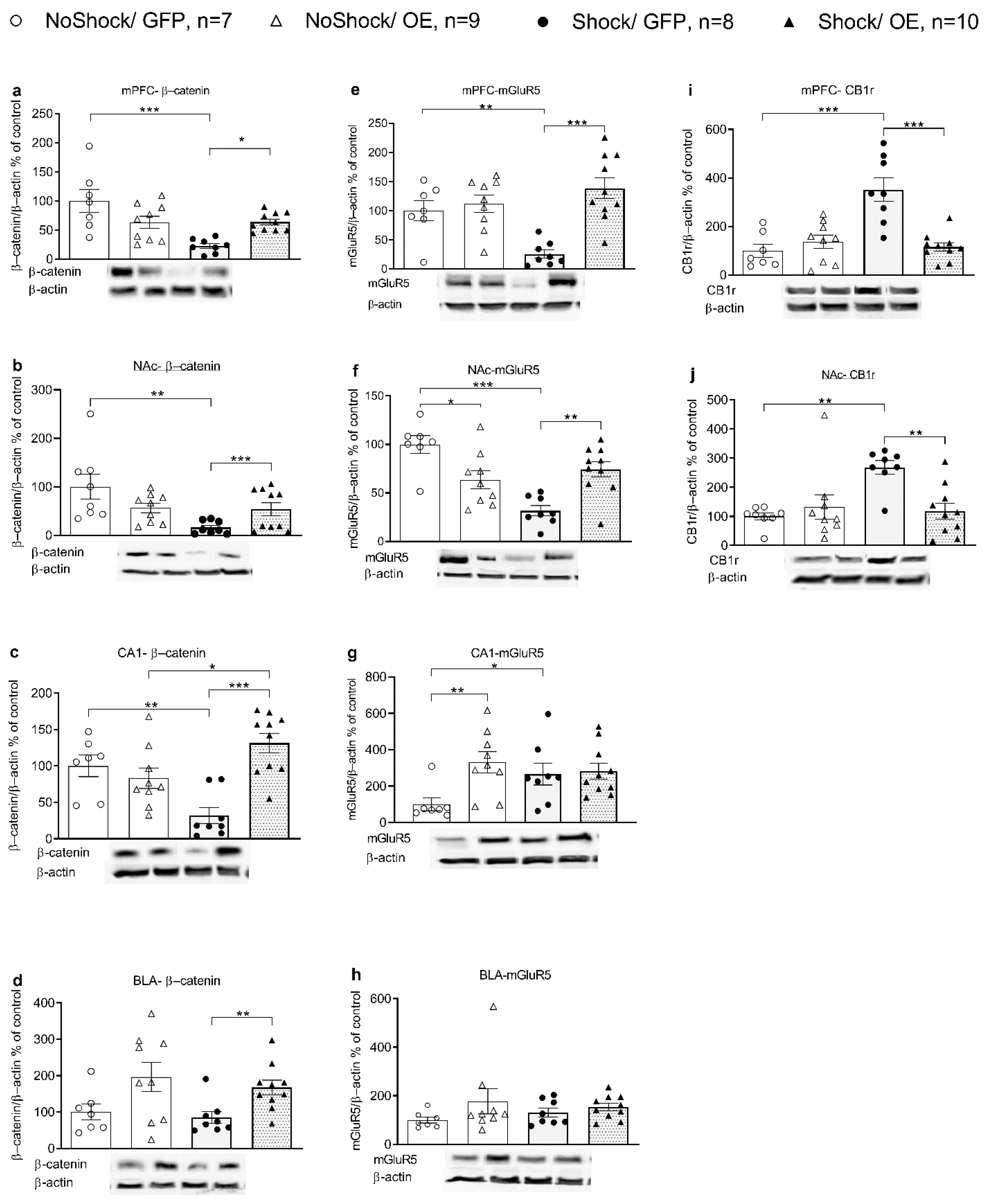 Biomedicines 10 01789 g005