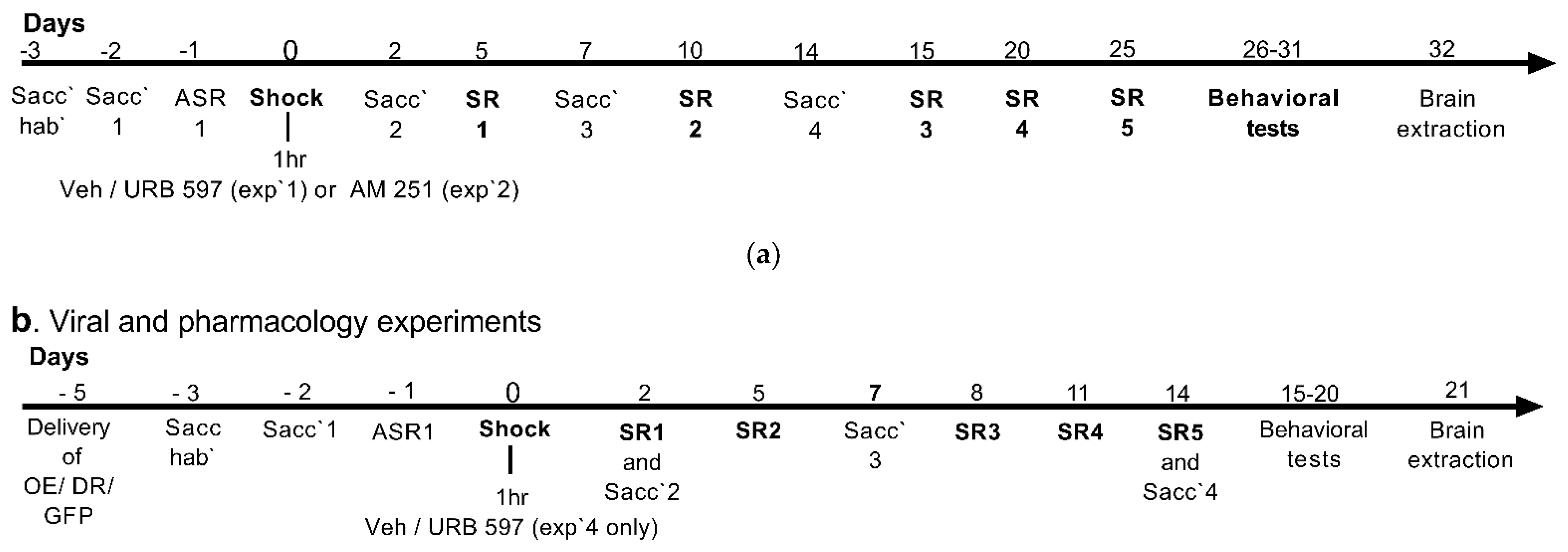 Biomedicines 10 01789 sch001