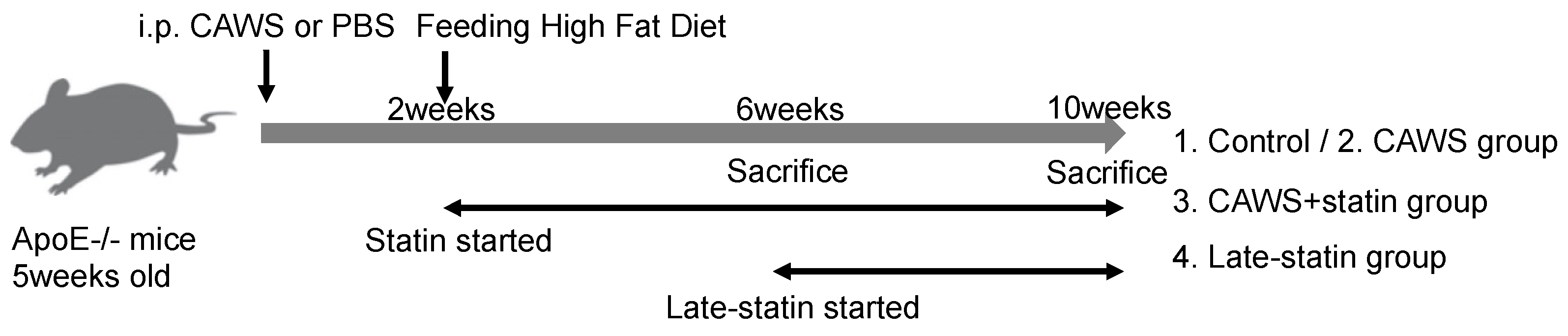 Biomedicines 10 01794 g001