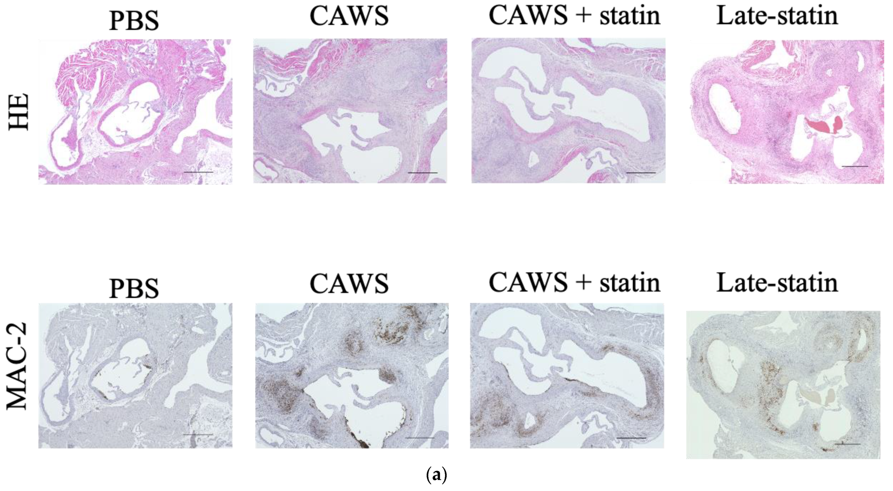 Biomedicines 10 01794 g003a