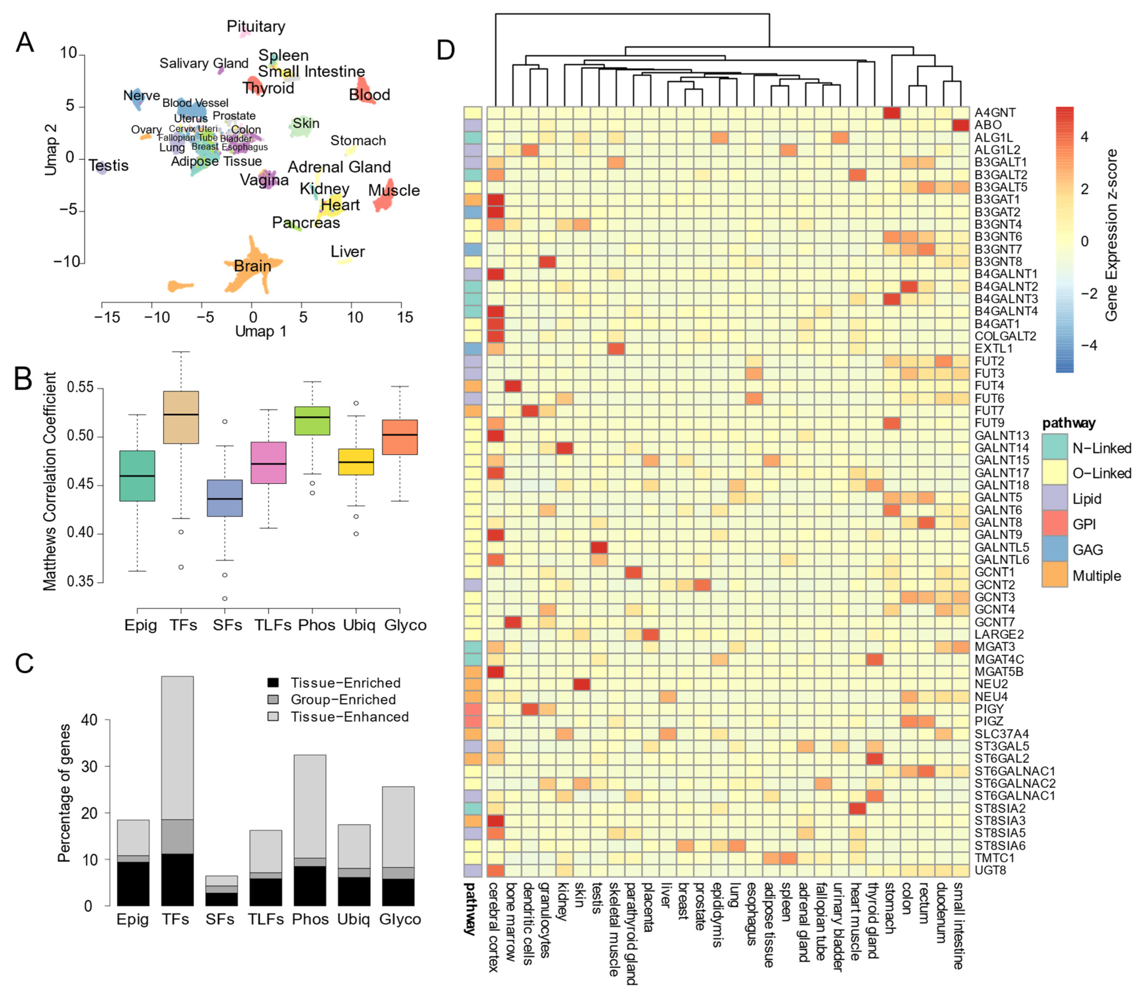 Biomedicines 10 01805 g002