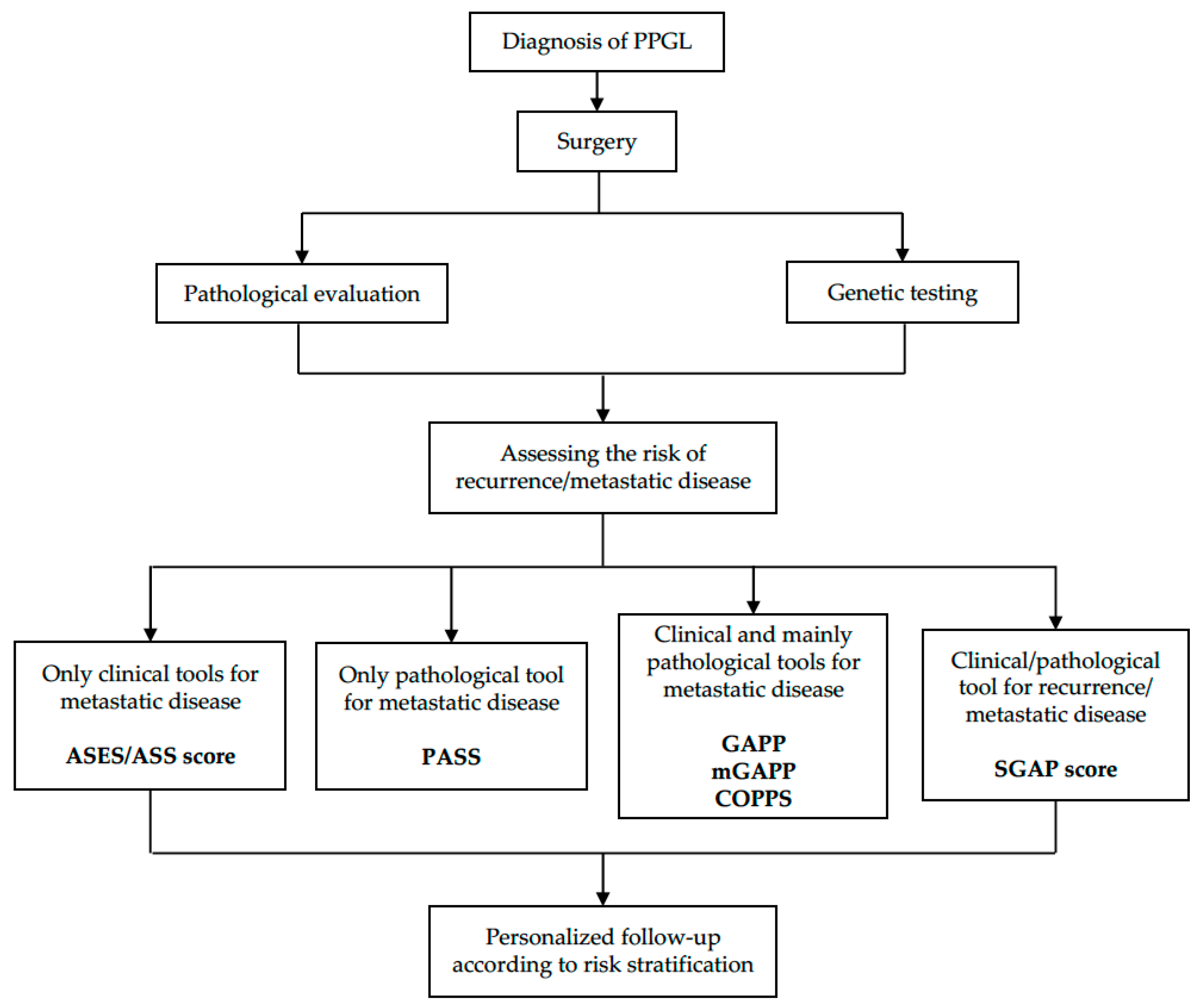 Biomedicines 10 01813 g001