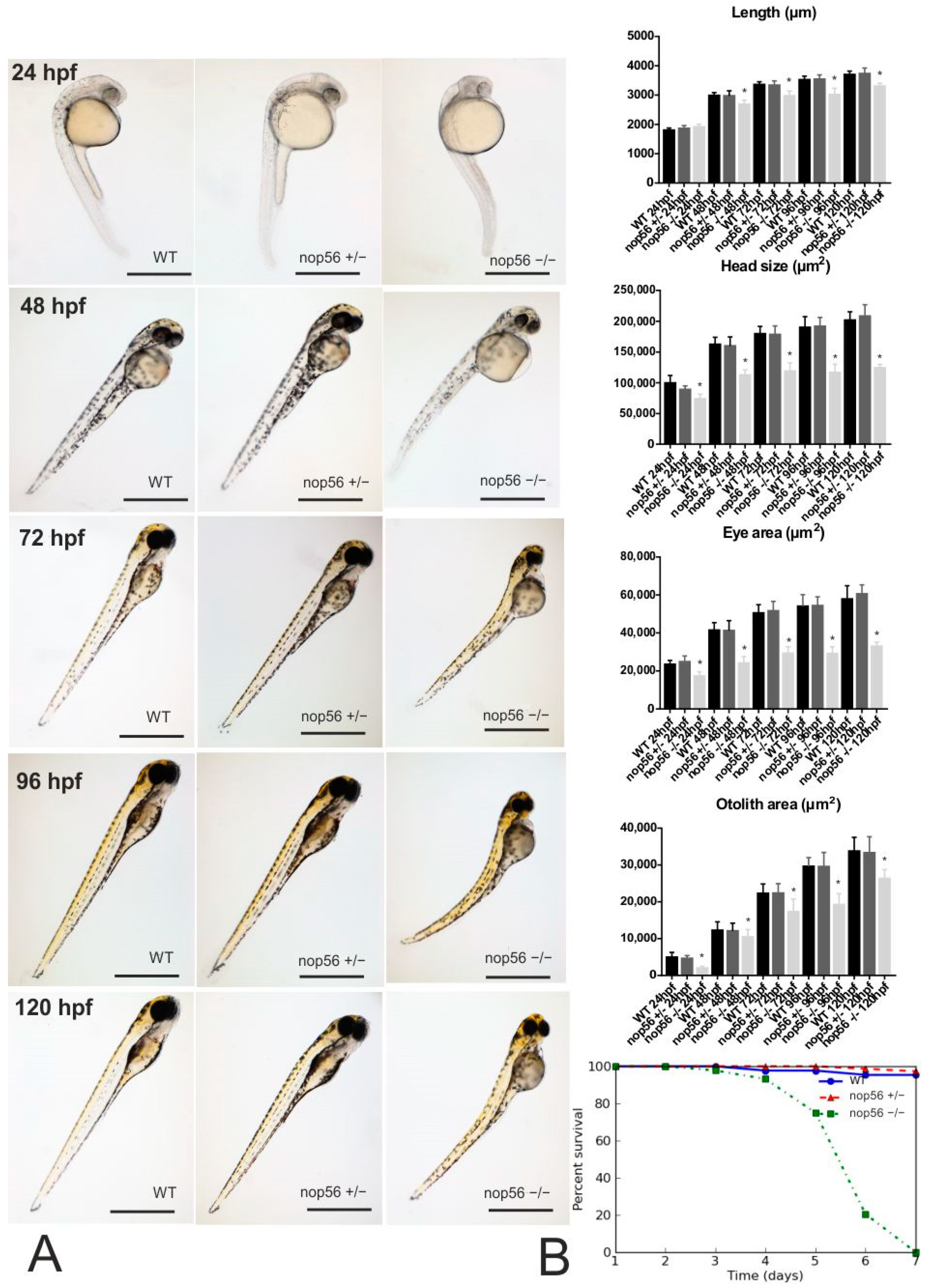 Biomedicines 10 01814 g001 Biomedicines 10 01814 g001