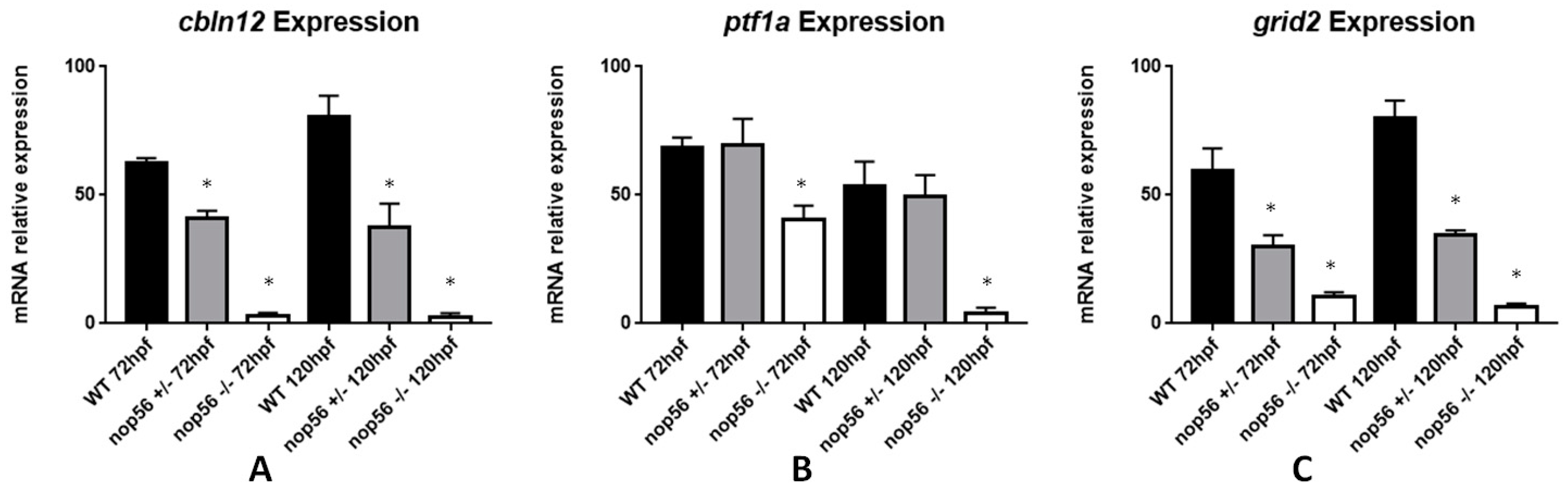 Biomedicines 10 01814 g003 Biomedicines 10 01814 g003