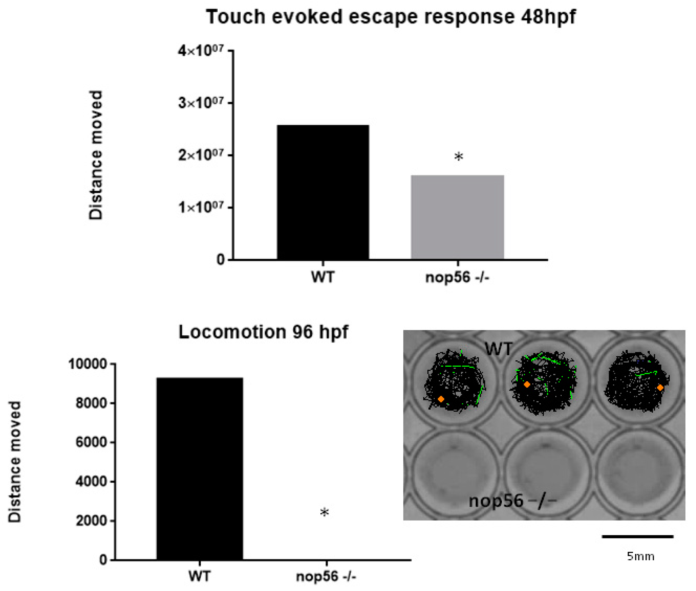 Biomedicines 10 01814 g010 Biomedicines 10 01814 g010