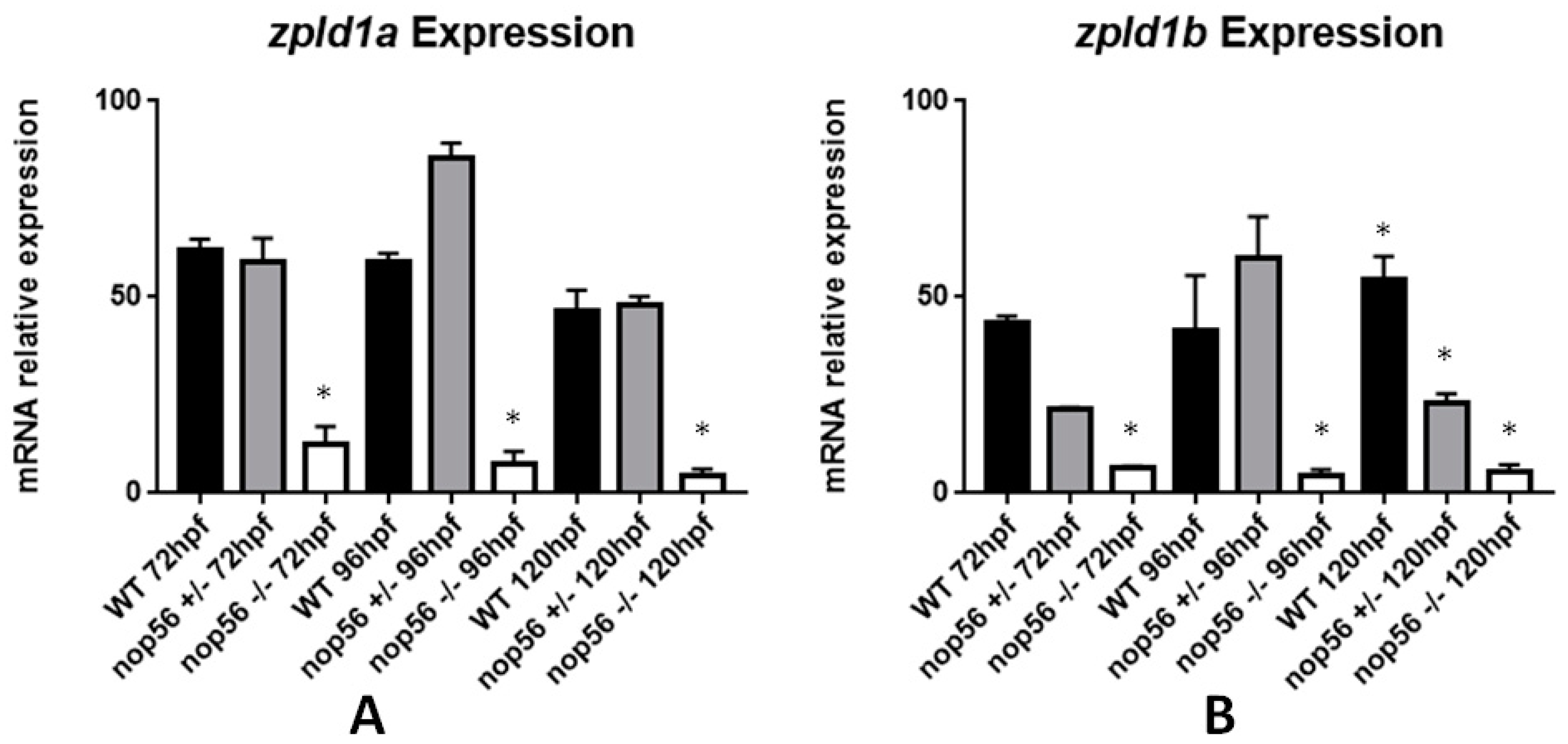 Biomedicines 10 01814 g011 Biomedicines 10 01814 g011