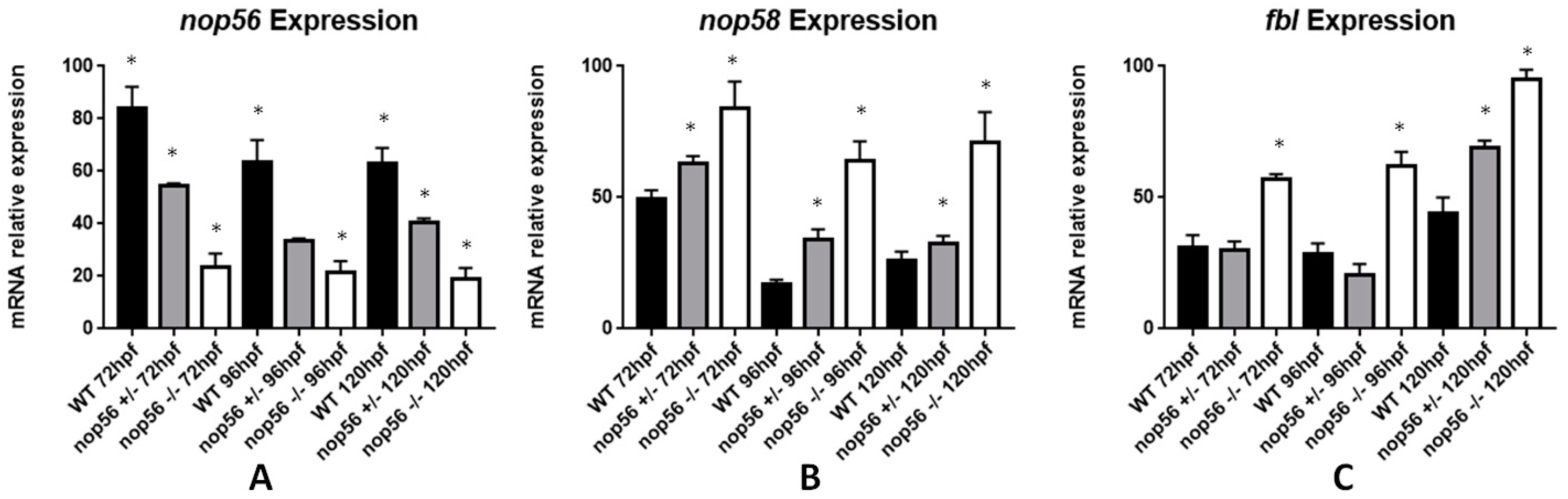 Biomedicines 10 01814 g012 Biomedicines 10 01814 g012