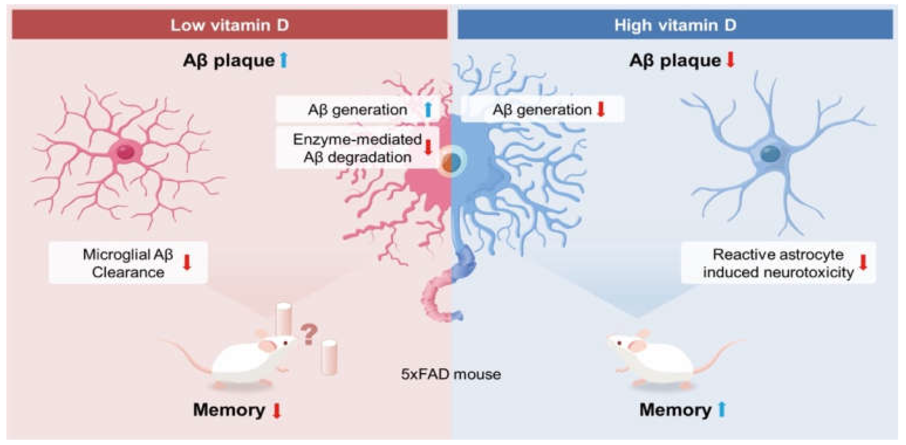 Biomedicines 10 01824 g007