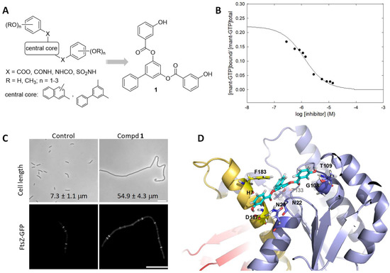 Biomedicines 10 01825 g002