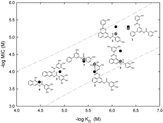 Biomedicines 10 01825 g003