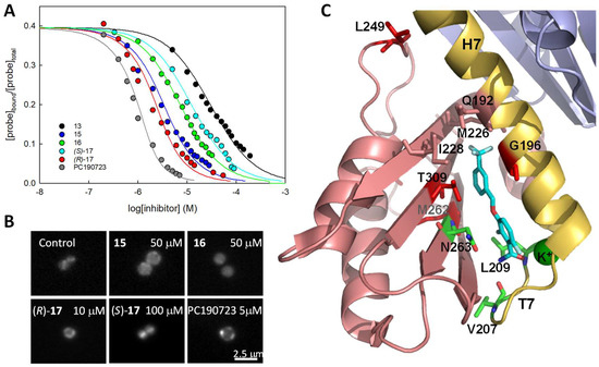 Biomedicines 10 01825 g006