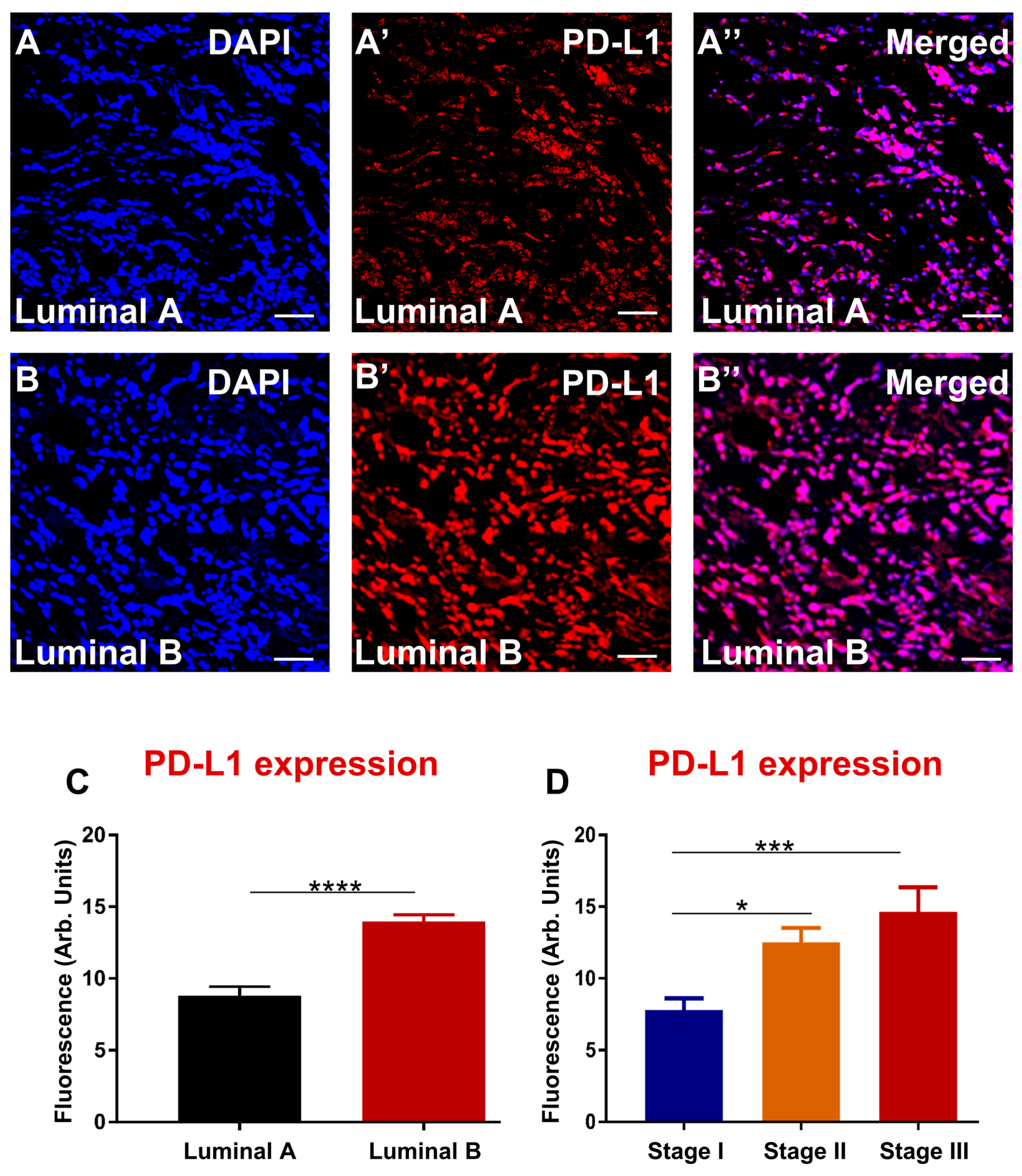 Biomedicines 10 01827 g001