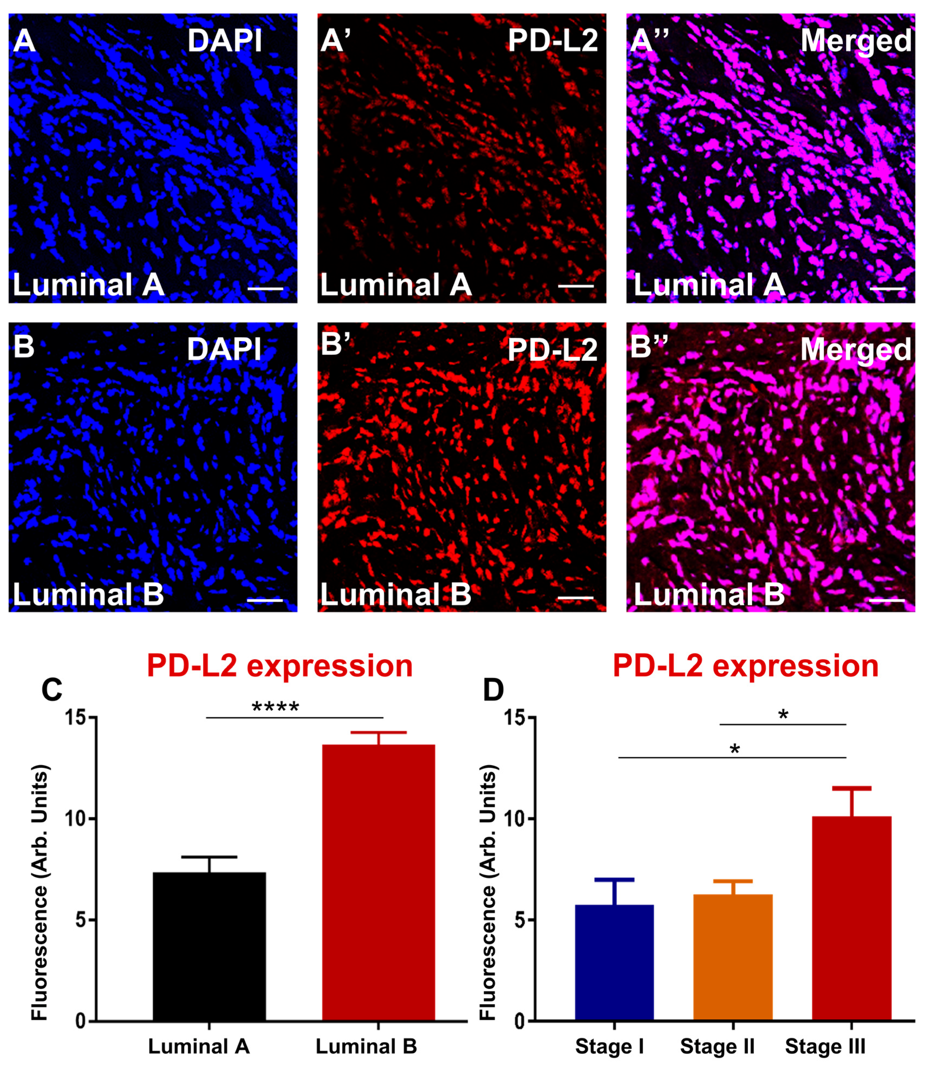 Biomedicines 10 01827 g002