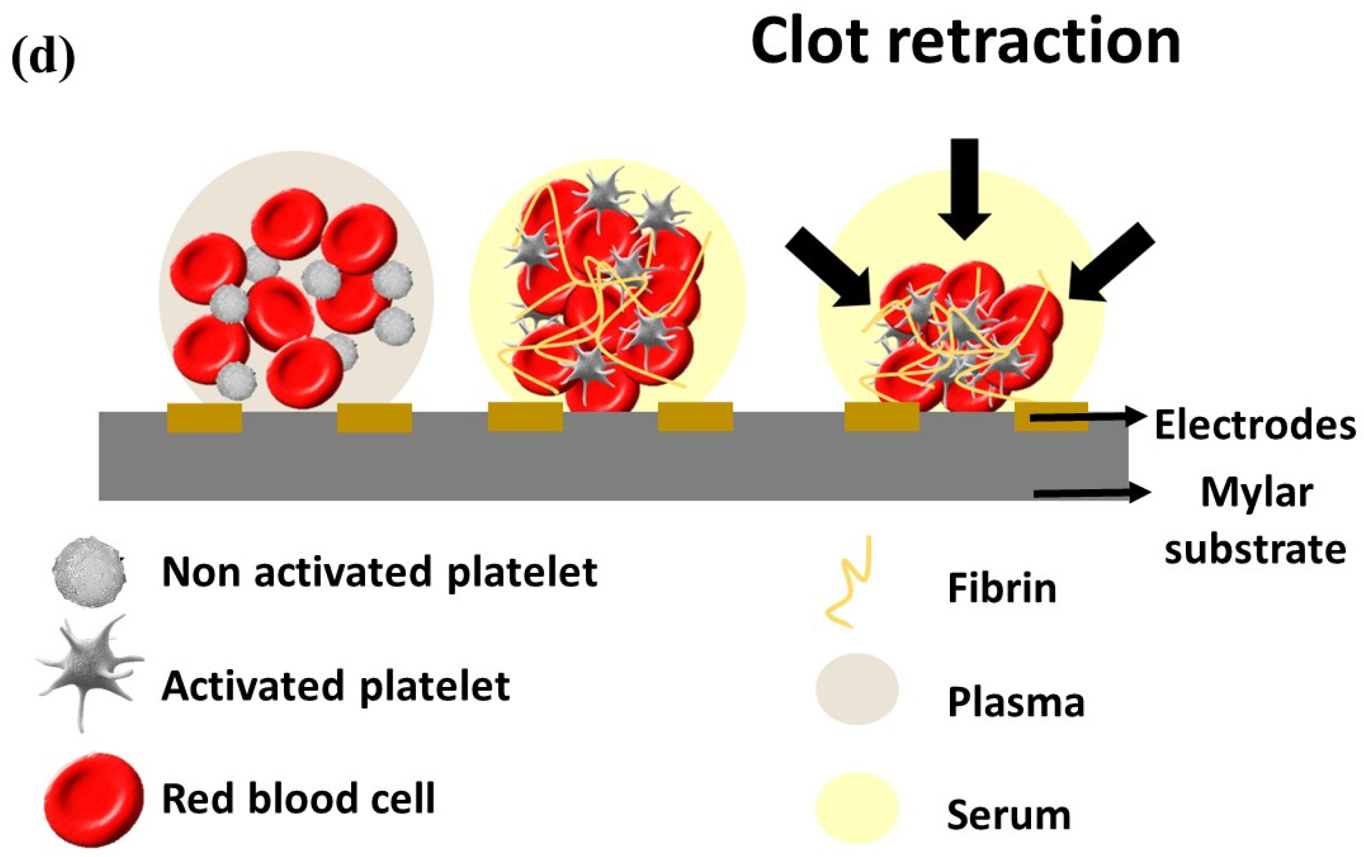 Biomedicines 10 01833 g002b Biomedicines 10 01833 g002b
