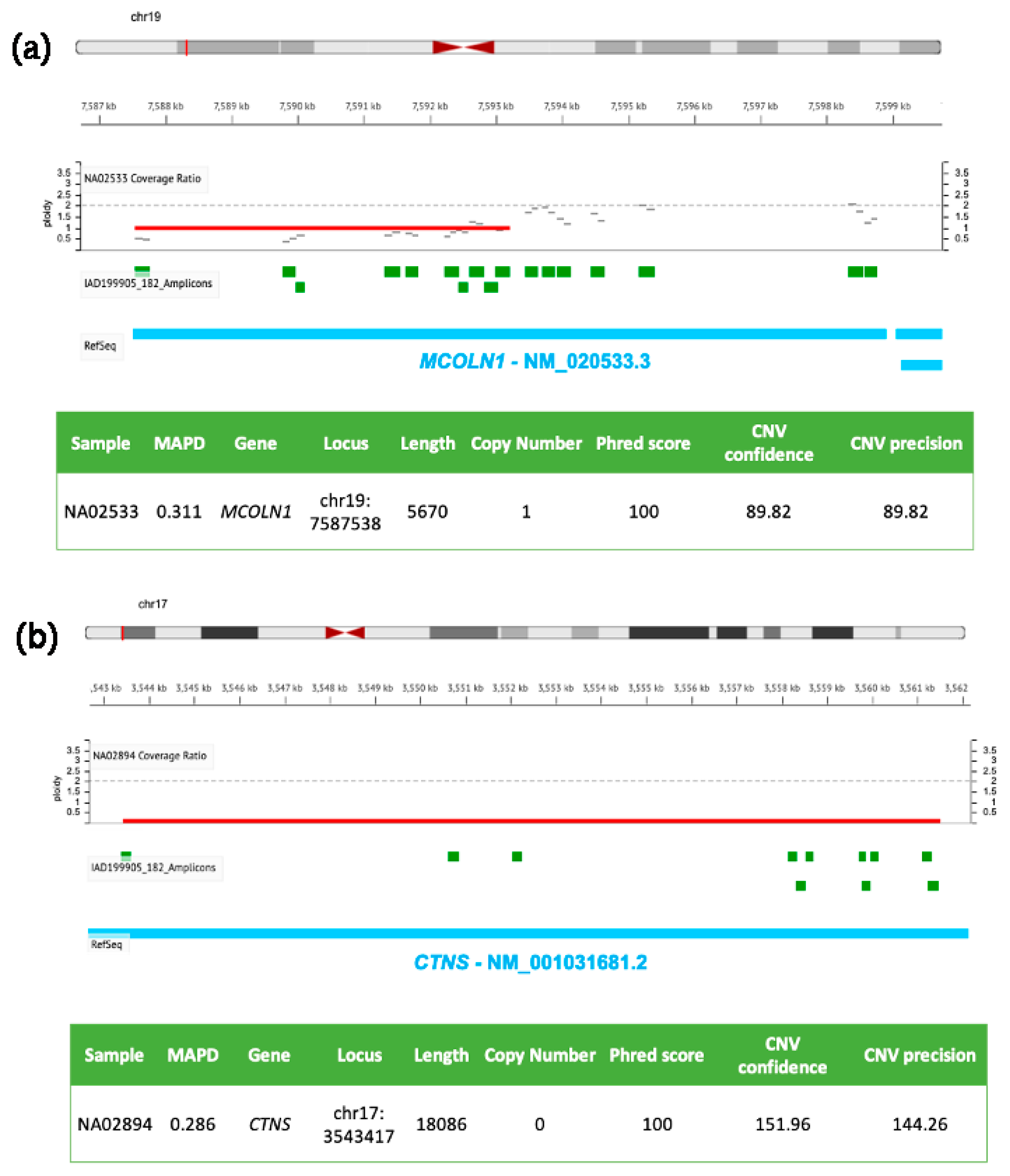 Biomedicines 10 01836 g001