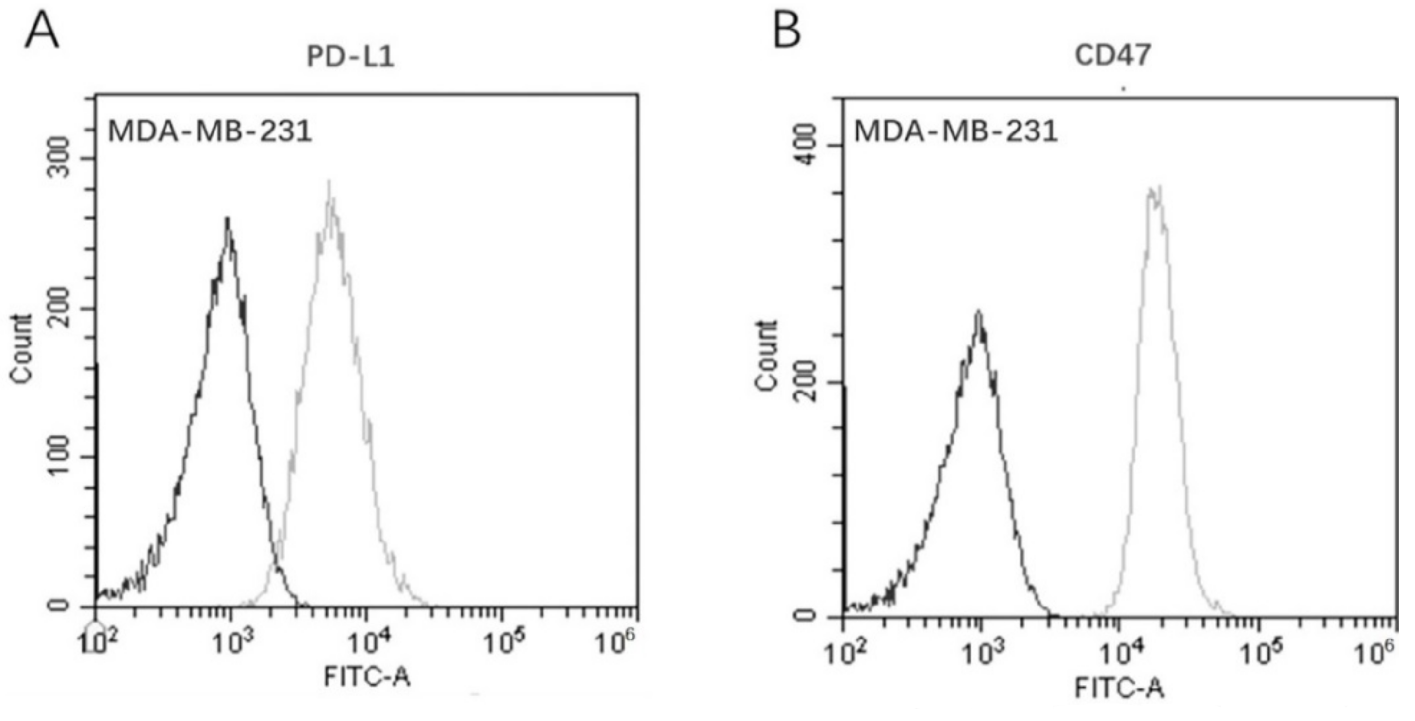 Biomedicines 10 01843 g006 Biomedicines 10 01843 g006