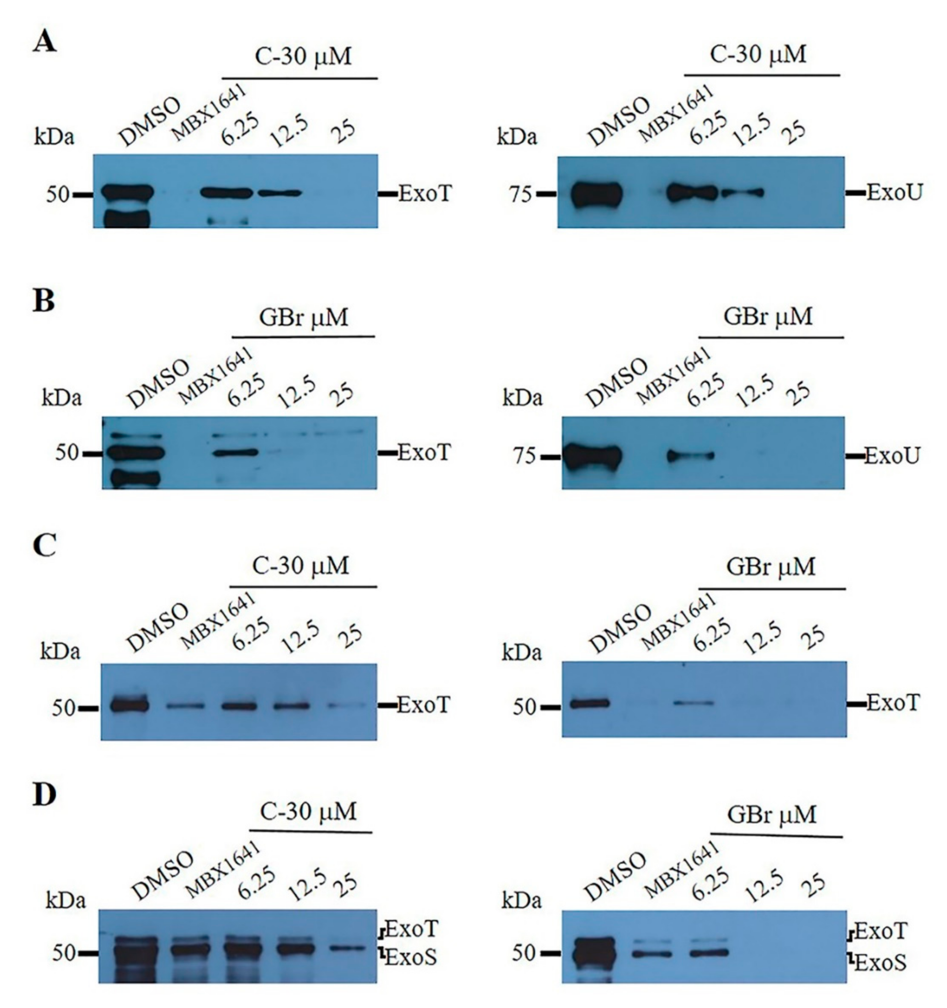 Biomedicines 10 01847 g003