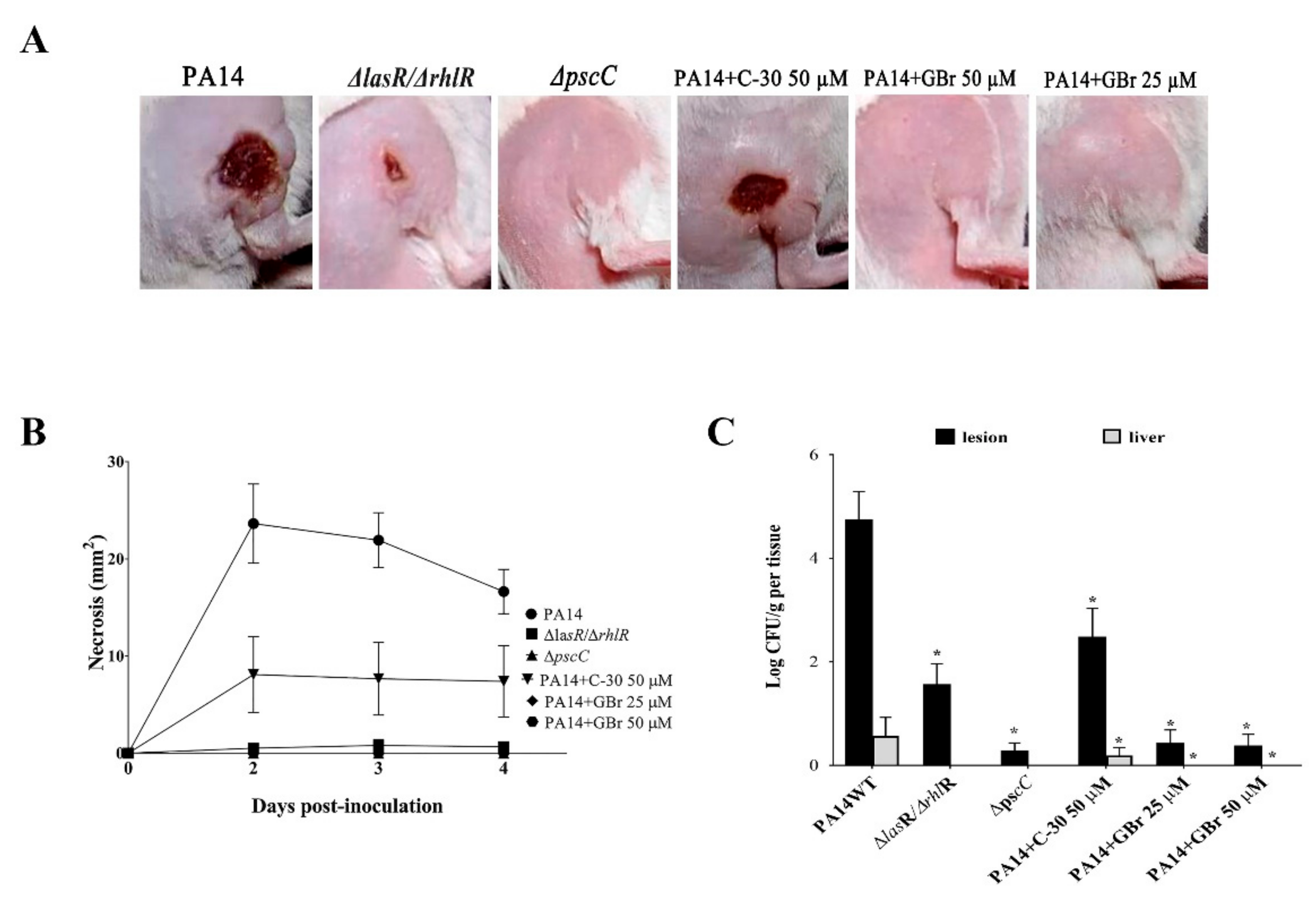 Biomedicines 10 01847 g004