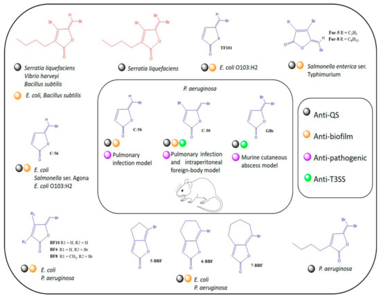 Biomedicines 10 01847 g006