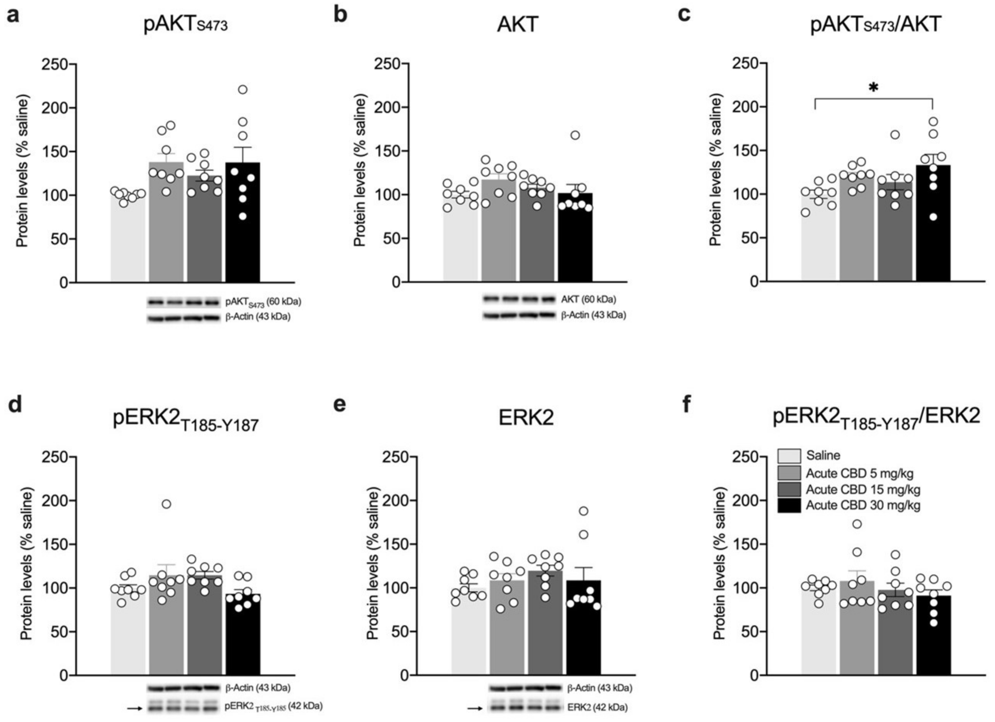 Biomedicines 10 01853 g005