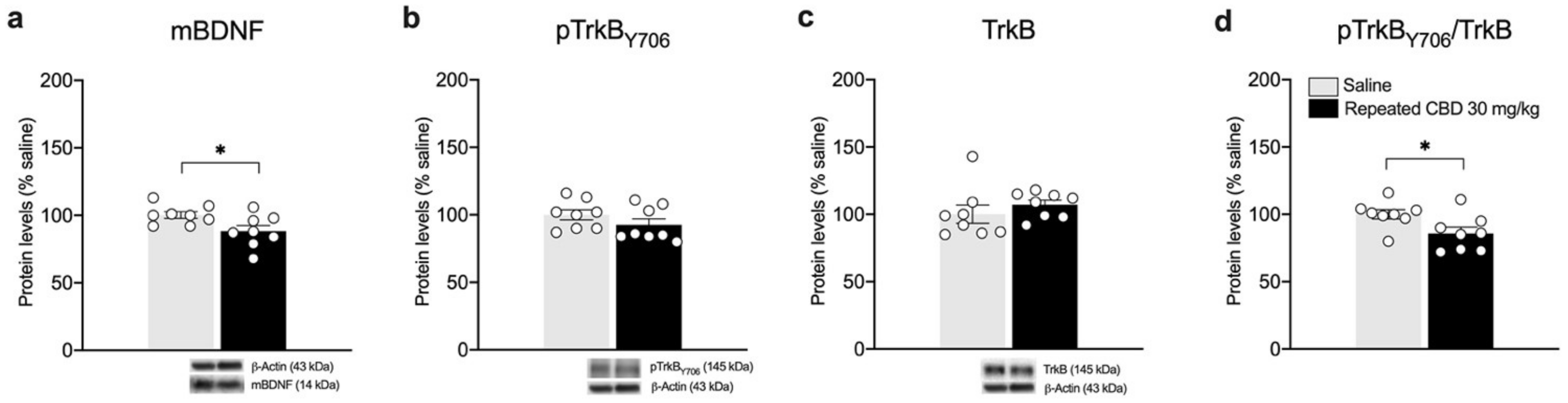 Biomedicines 10 01853 g007