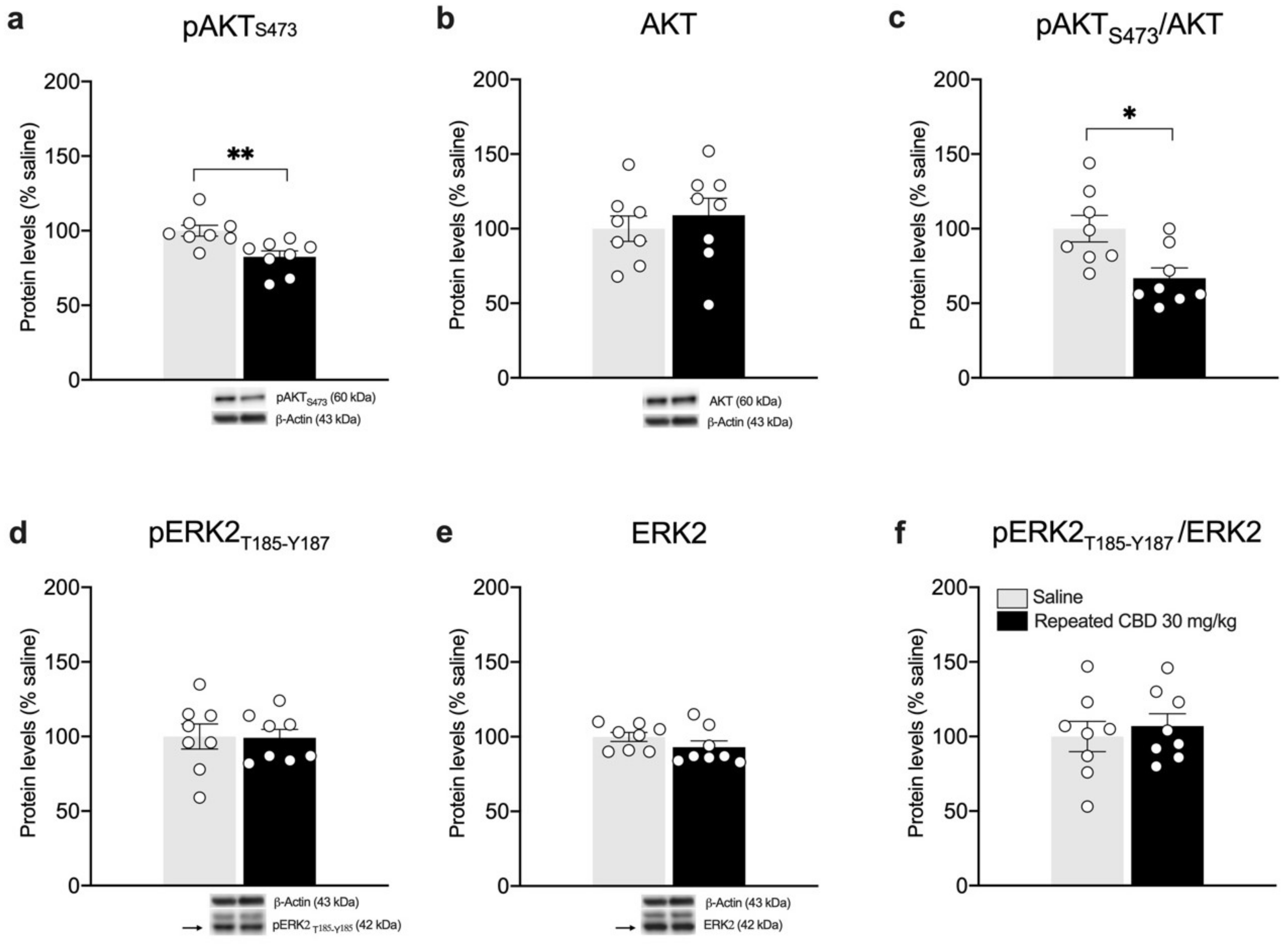 Biomedicines 10 01853 g008