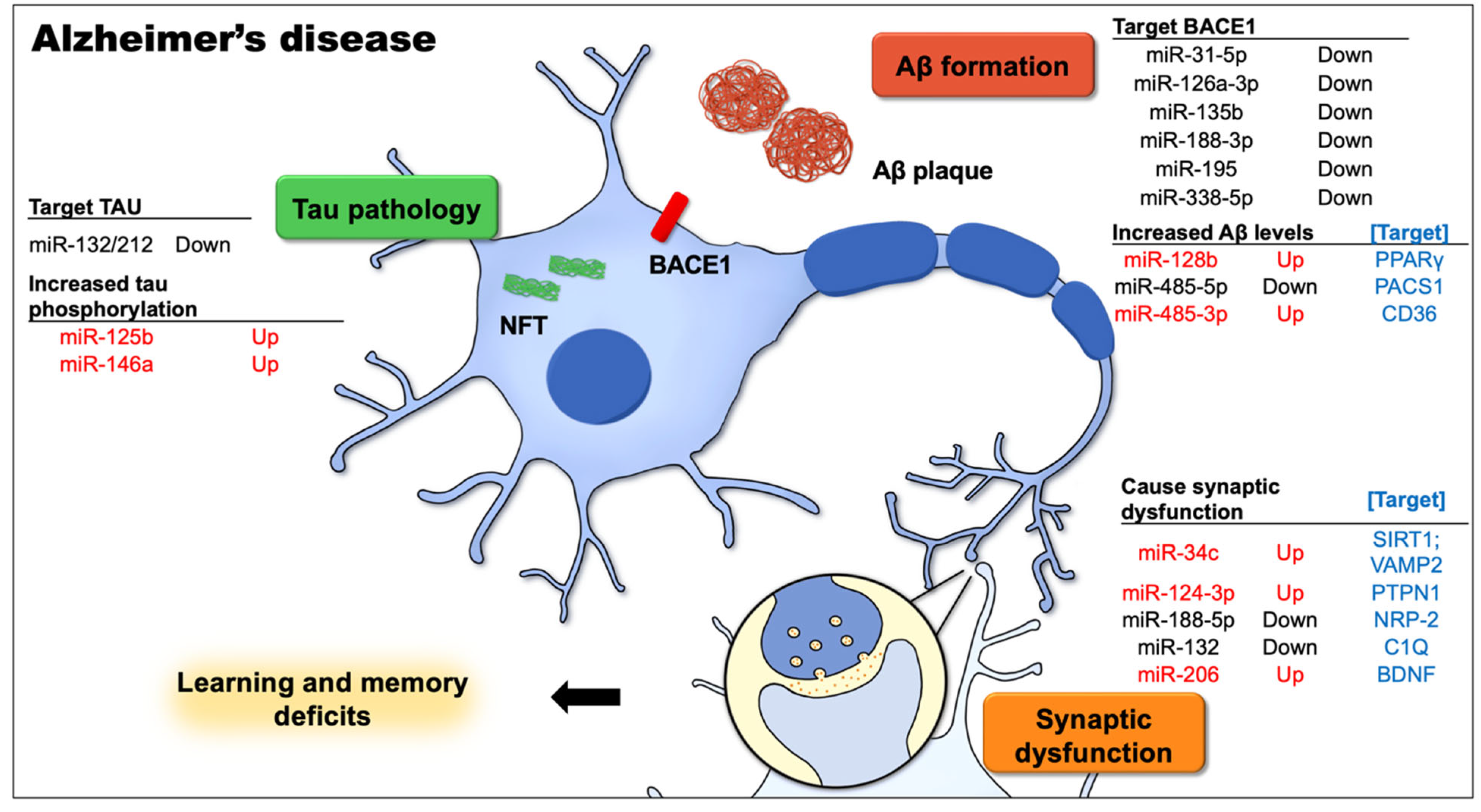 Biomedicines 10 01856 g001