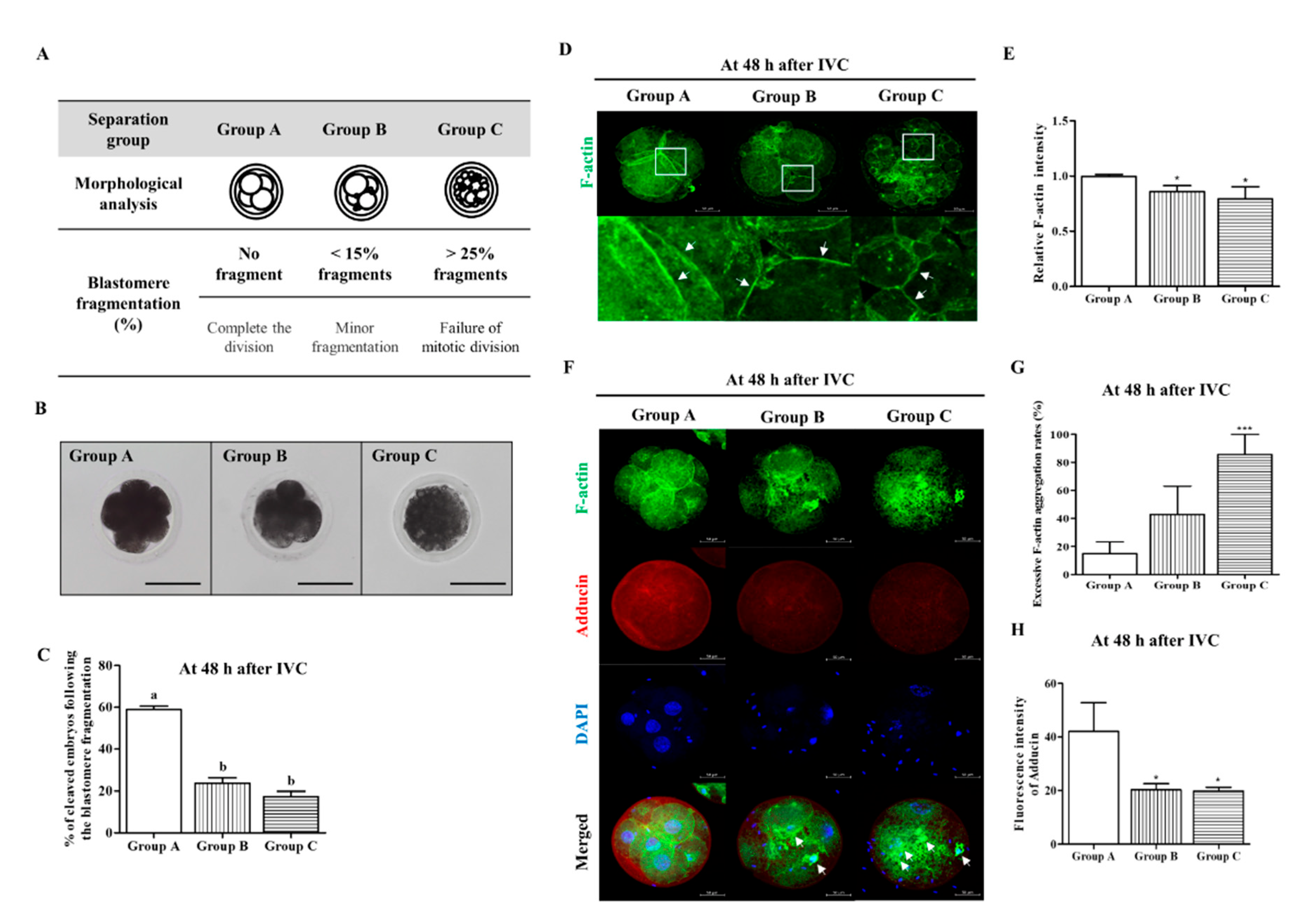 Biomedicines 10 01867 g001