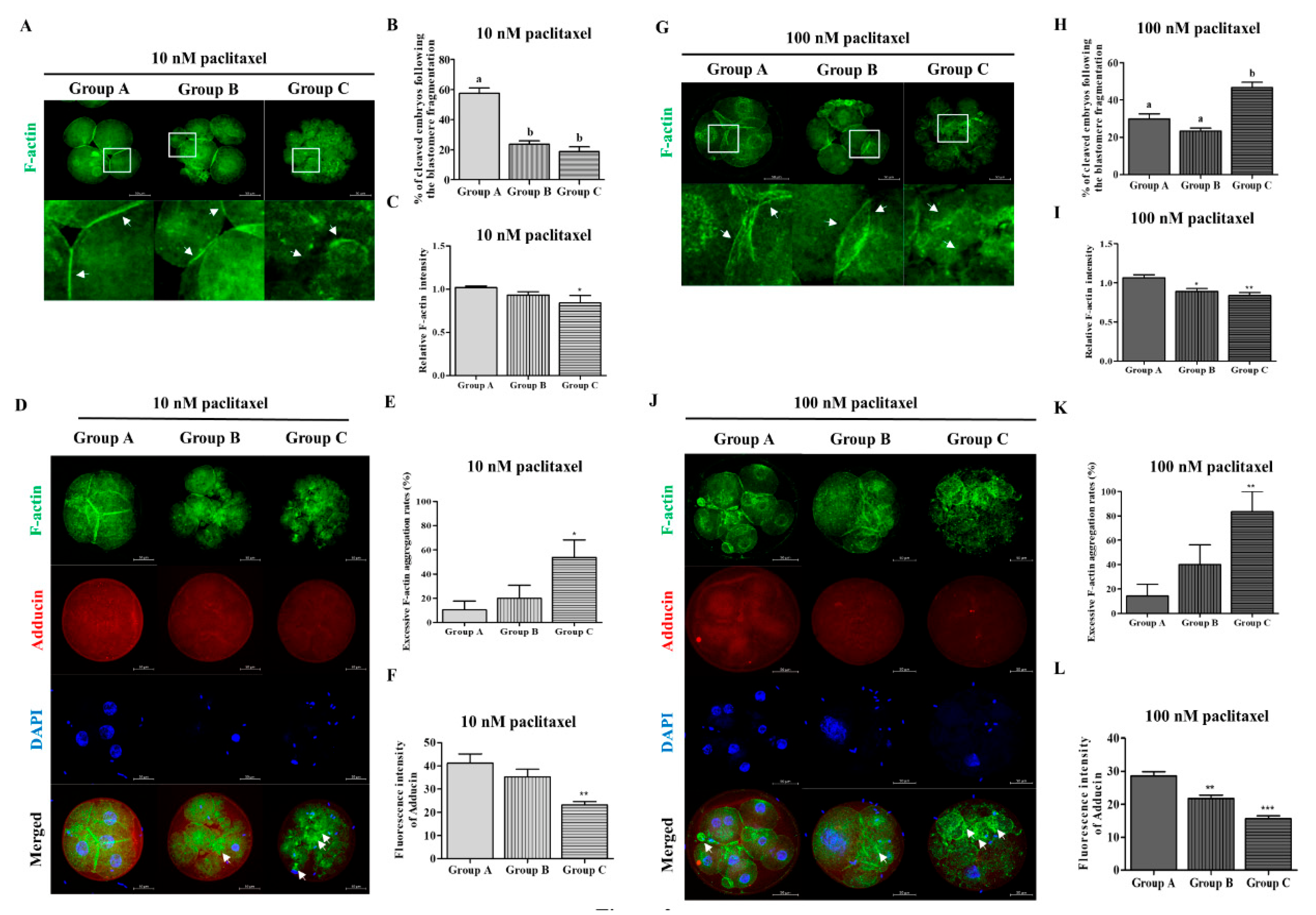 Biomedicines 10 01867 g002
