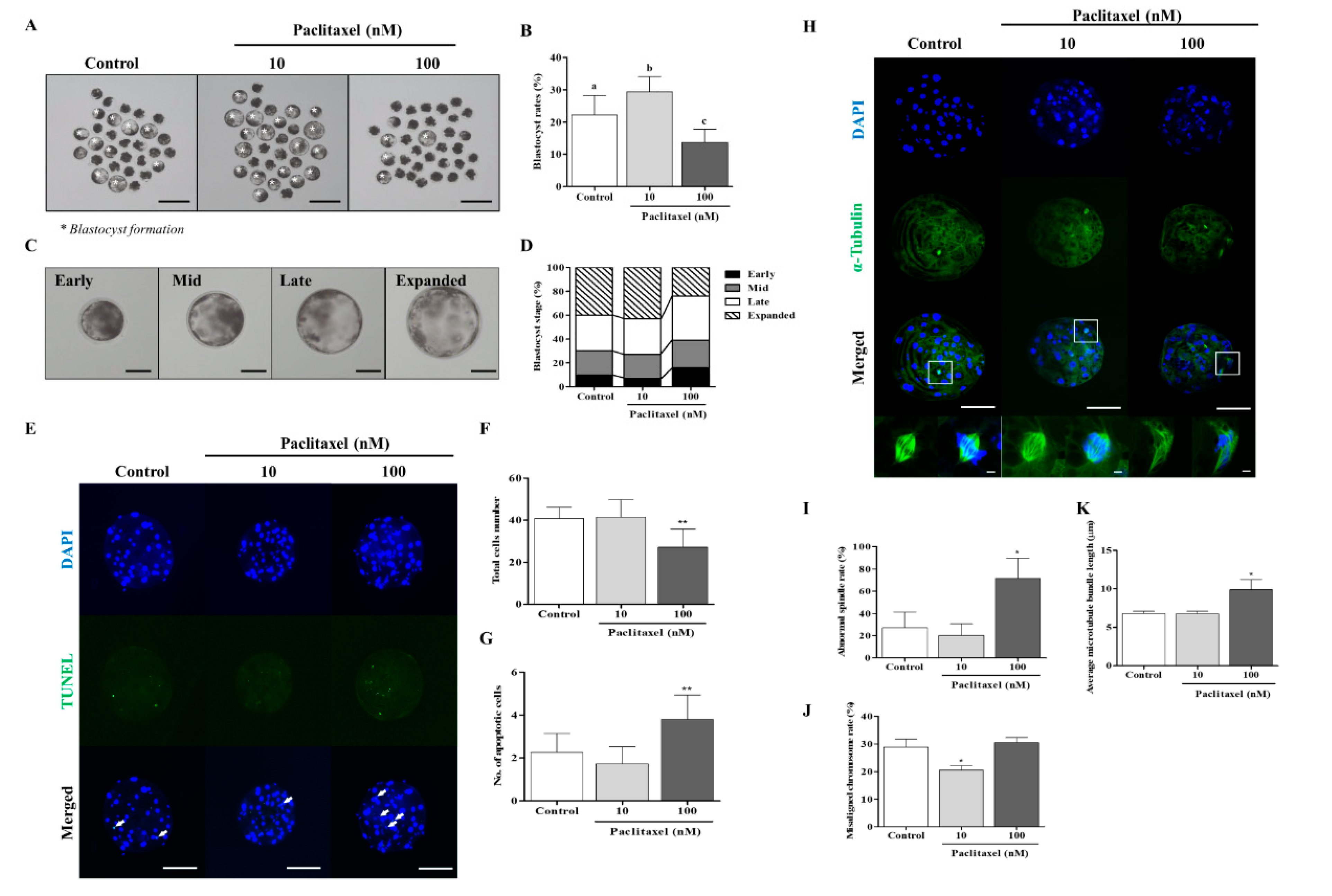 Biomedicines 10 01867 g003