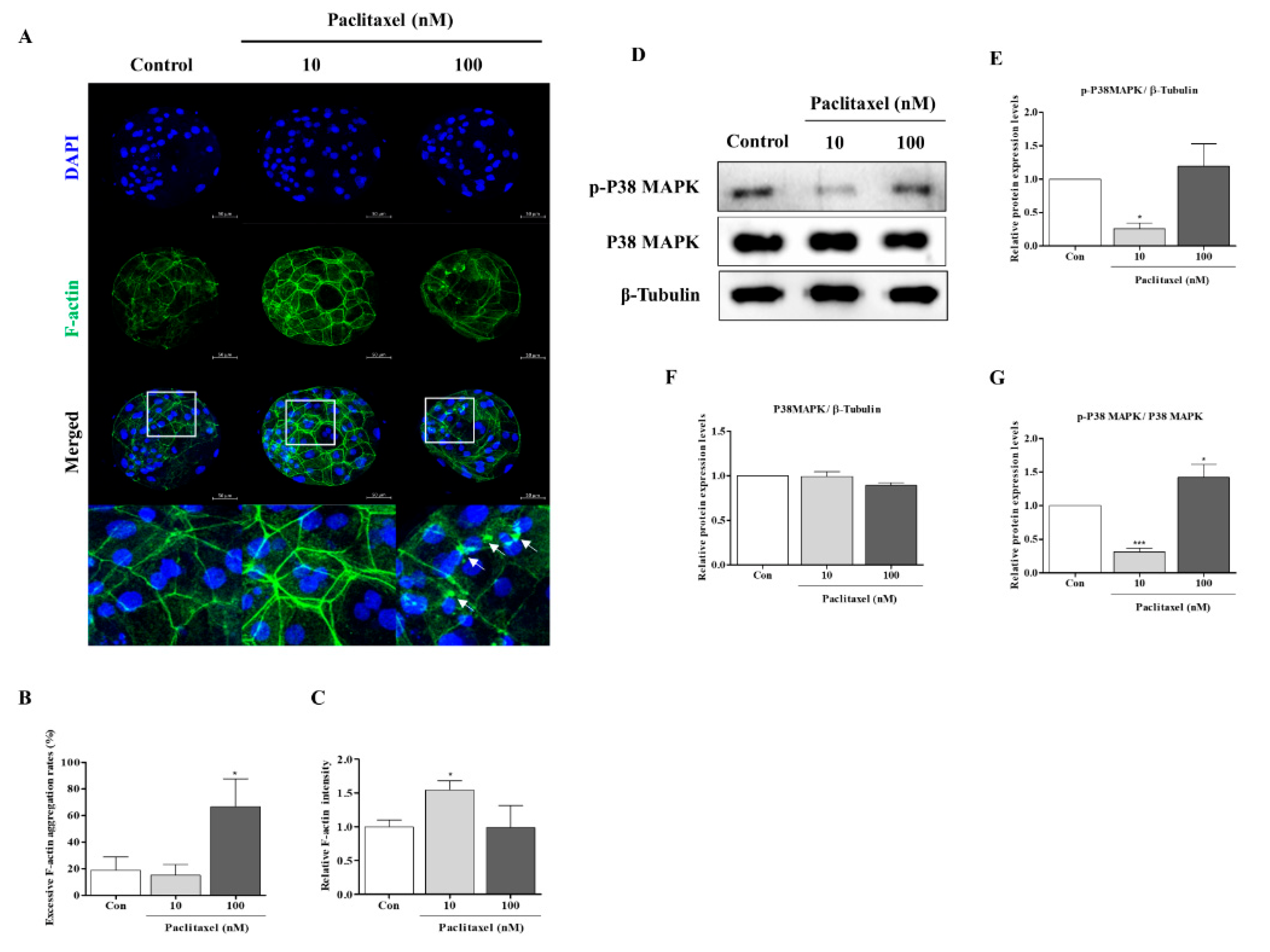 Biomedicines 10 01867 g005