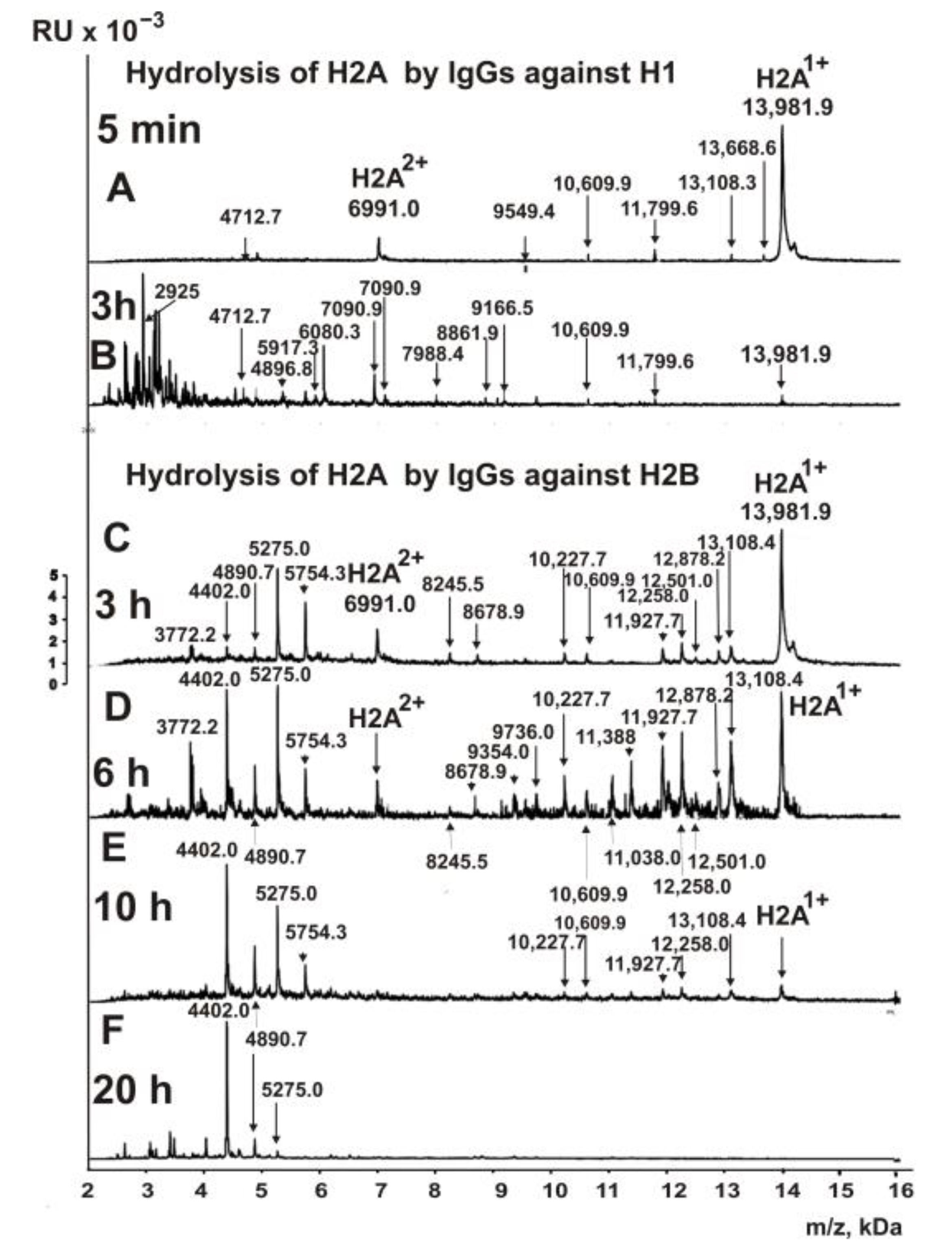 Biomedicines 10 01876 g004 Biomedicines 10 01876 g004
