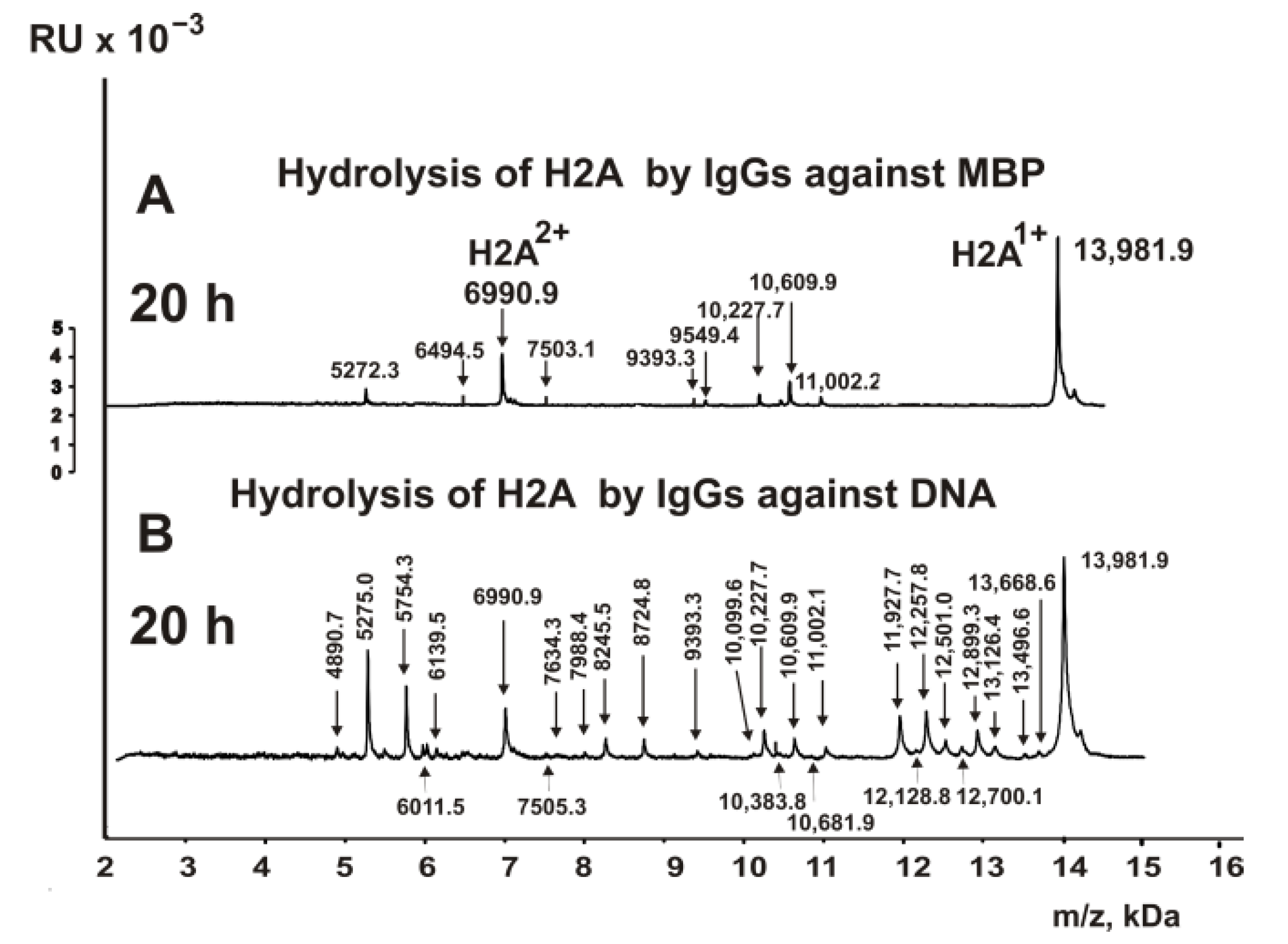 Biomedicines 10 01876 g007 Biomedicines 10 01876 g007