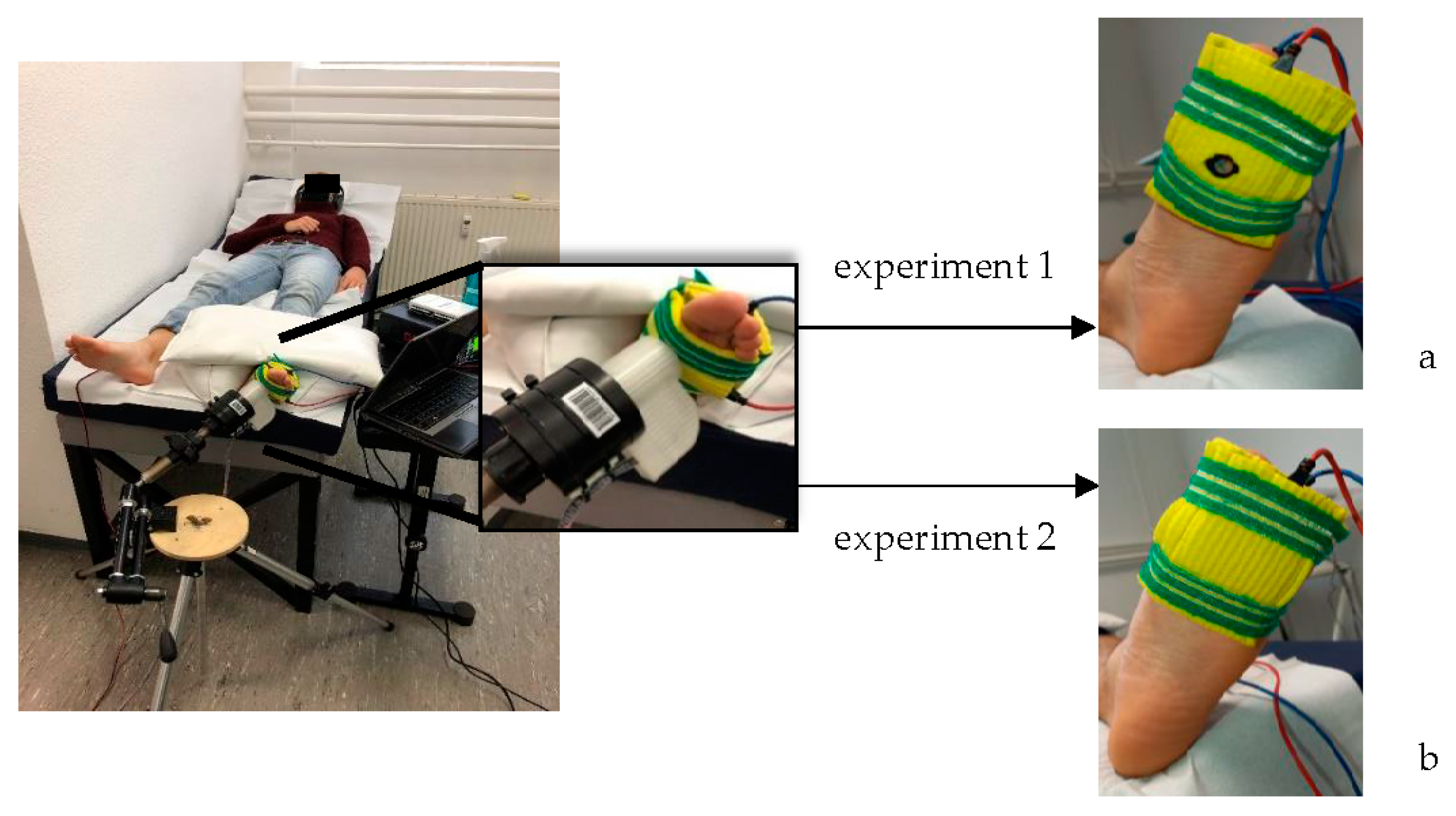 Biomedicines 10 01880 g001