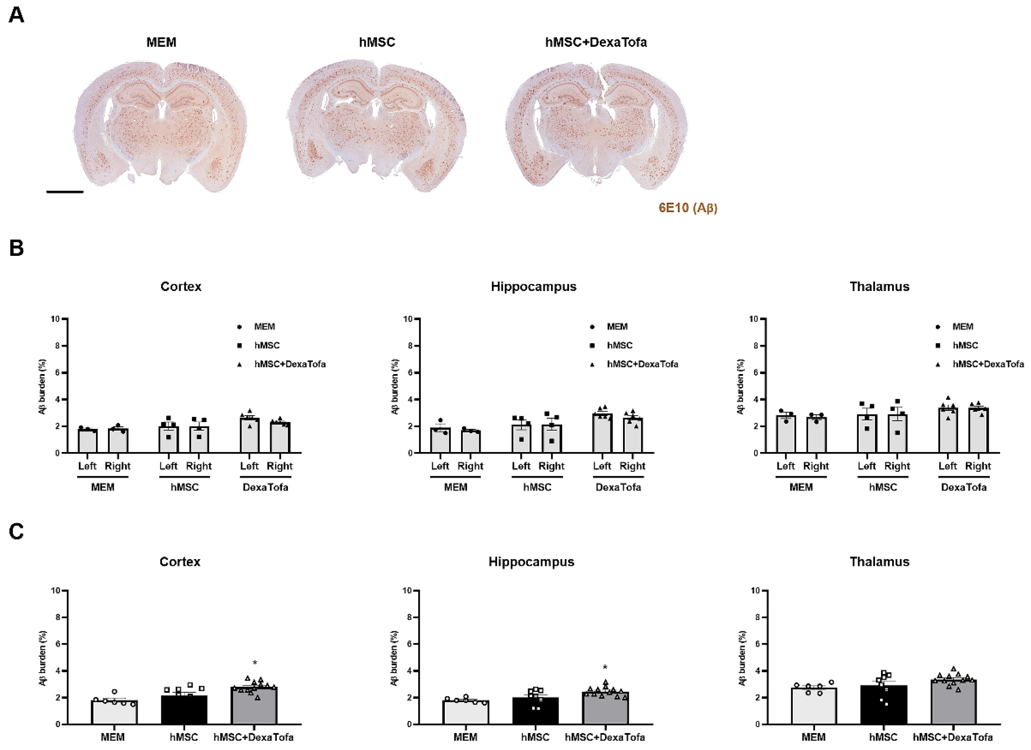 Biomedicines 10 01882 g006