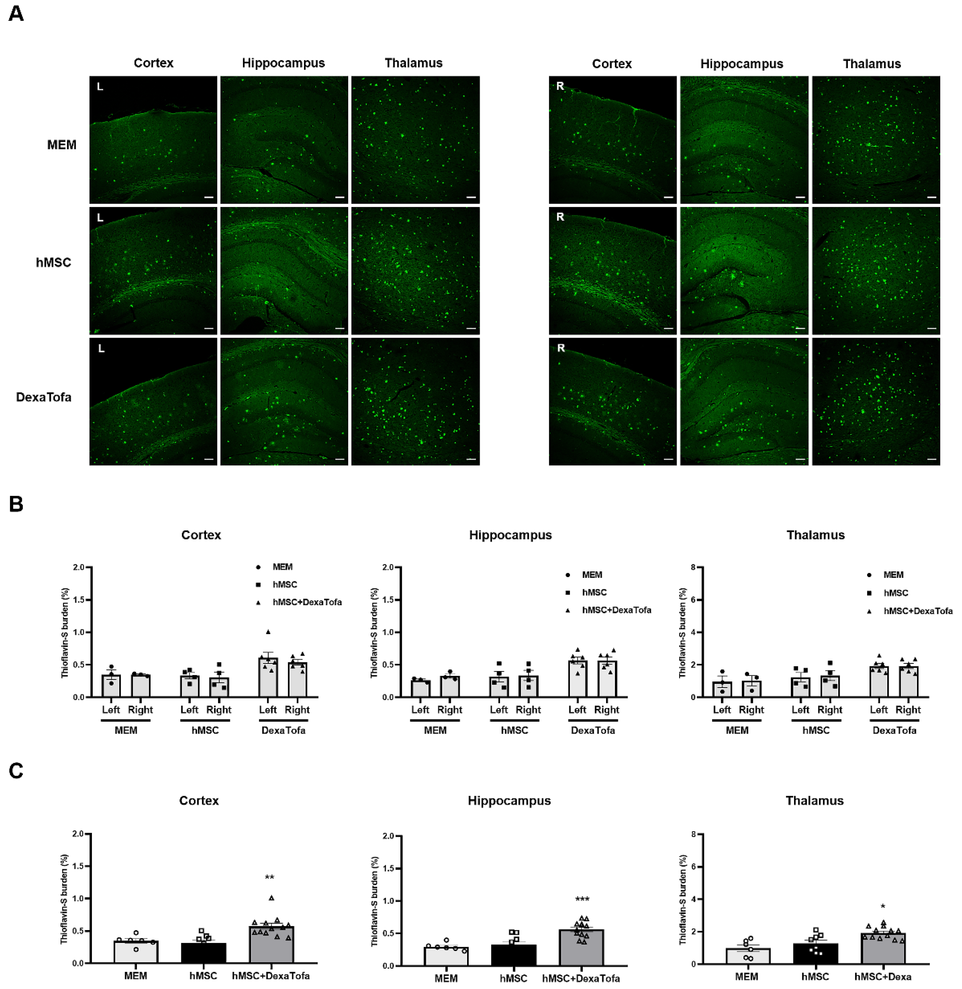 Biomedicines 10 01882 g008