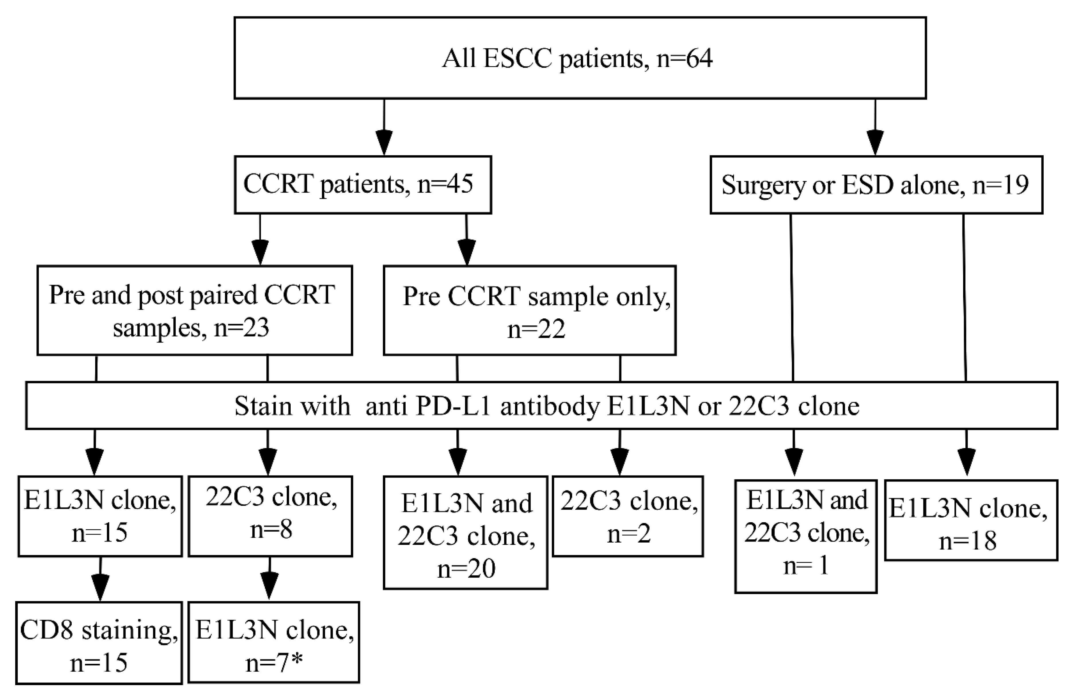Biomedicines 10 01888 g001