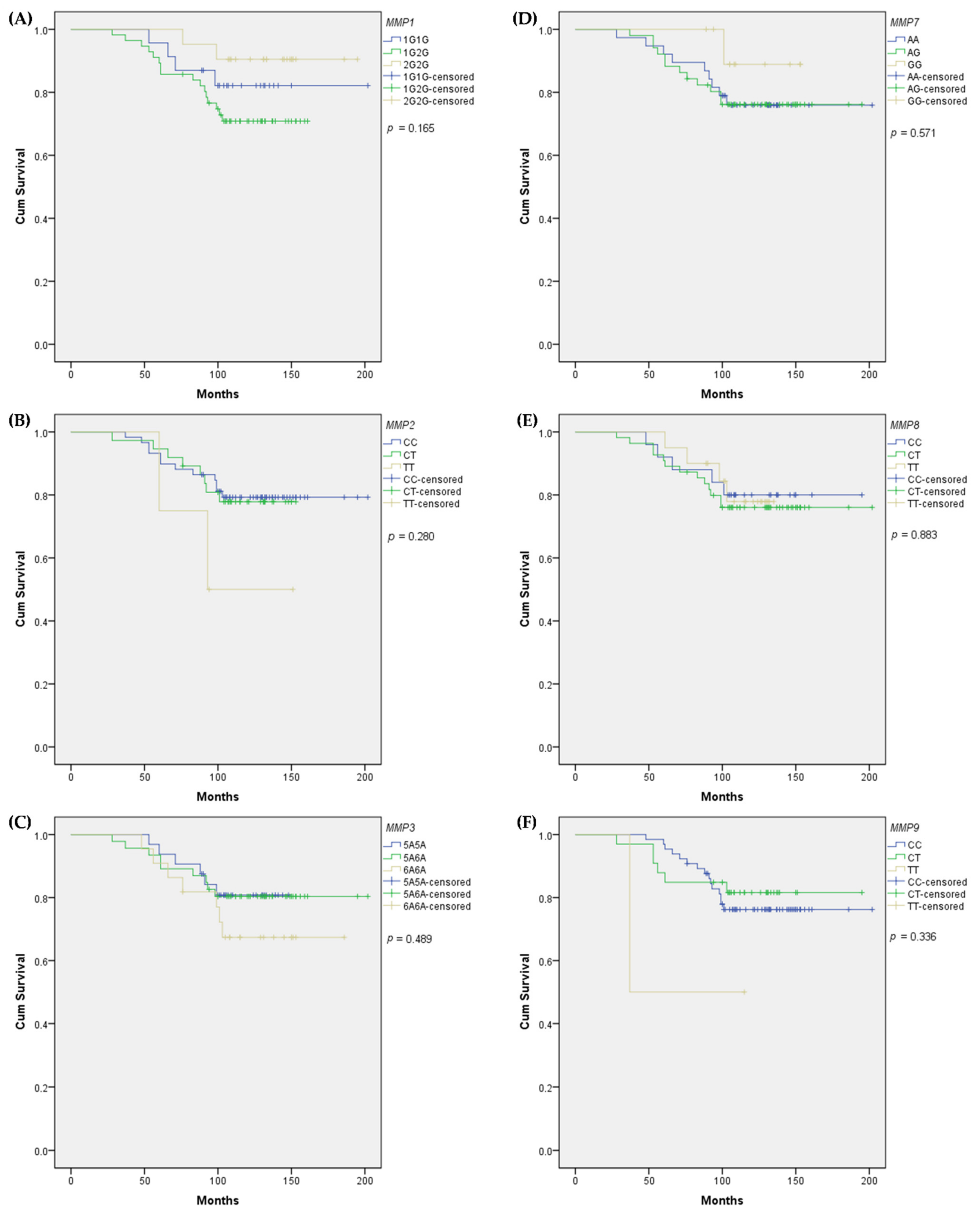 Biomedicines 10 01891 g001 Biomedicines 10 01891 g001