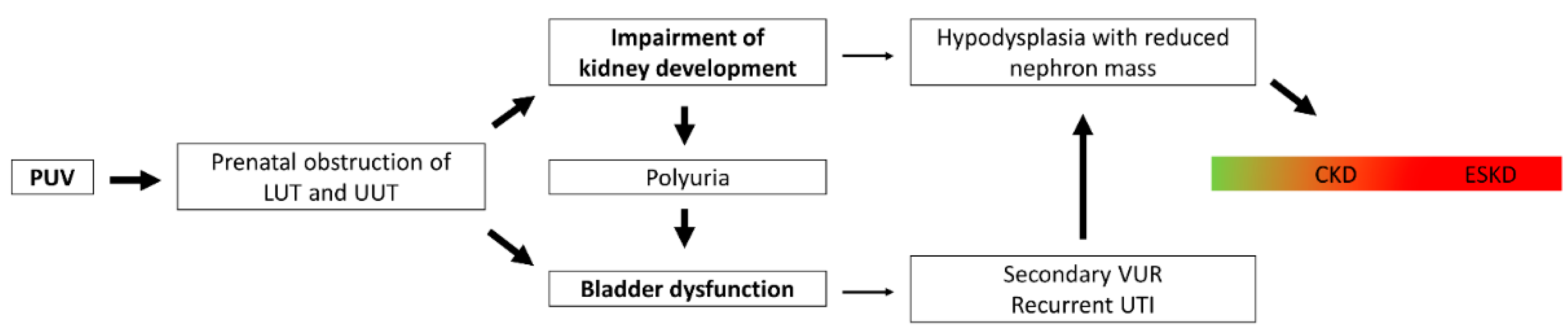 Biomedicines 10 01894 g002