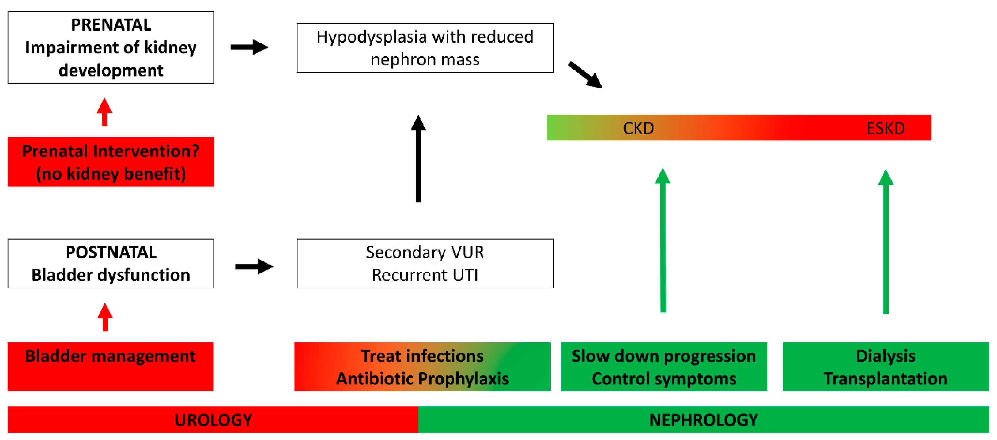 Biomedicines 10 01894 g003