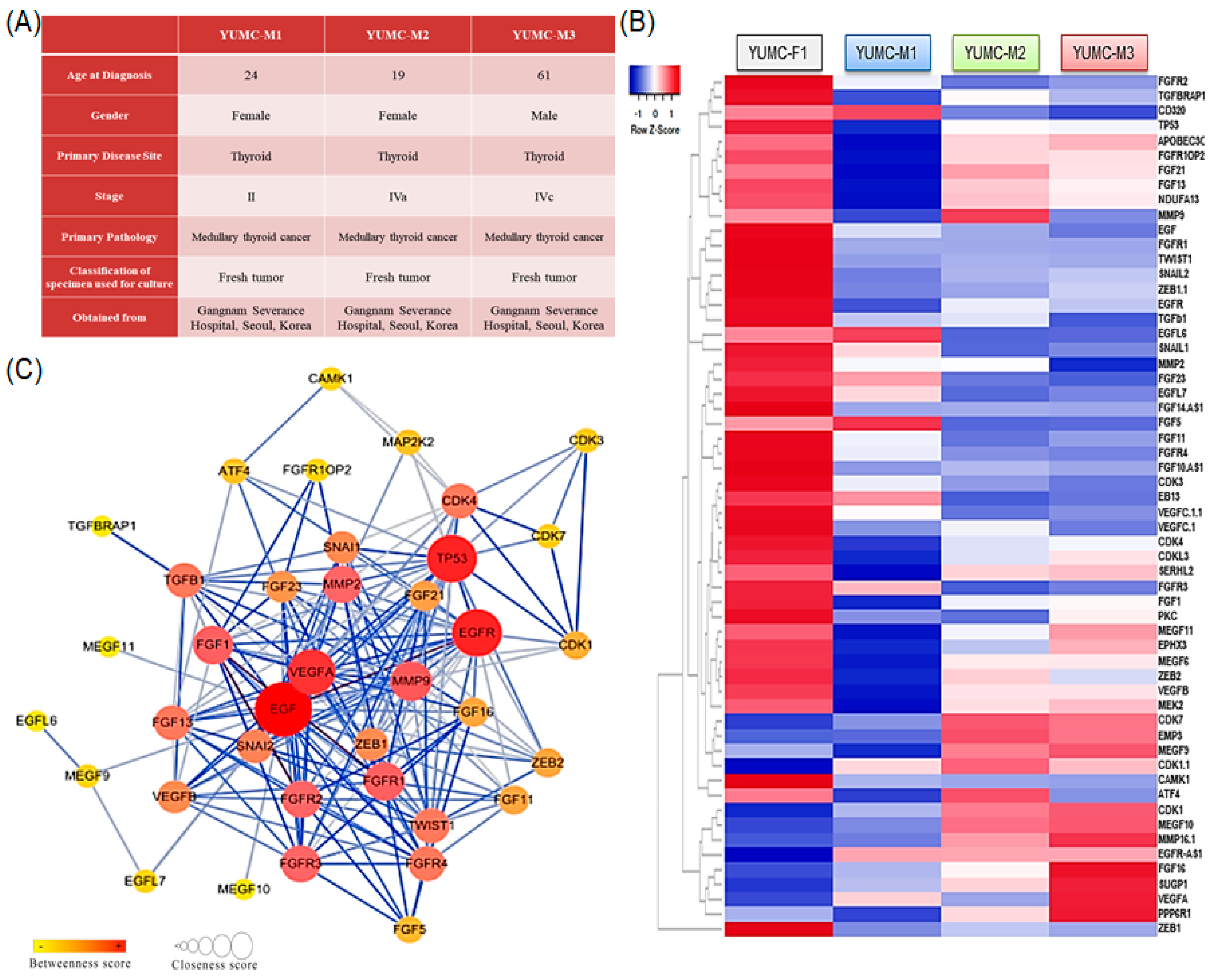 Biomedicines 10 01901 g002 Biomedicines 10 01901 g002