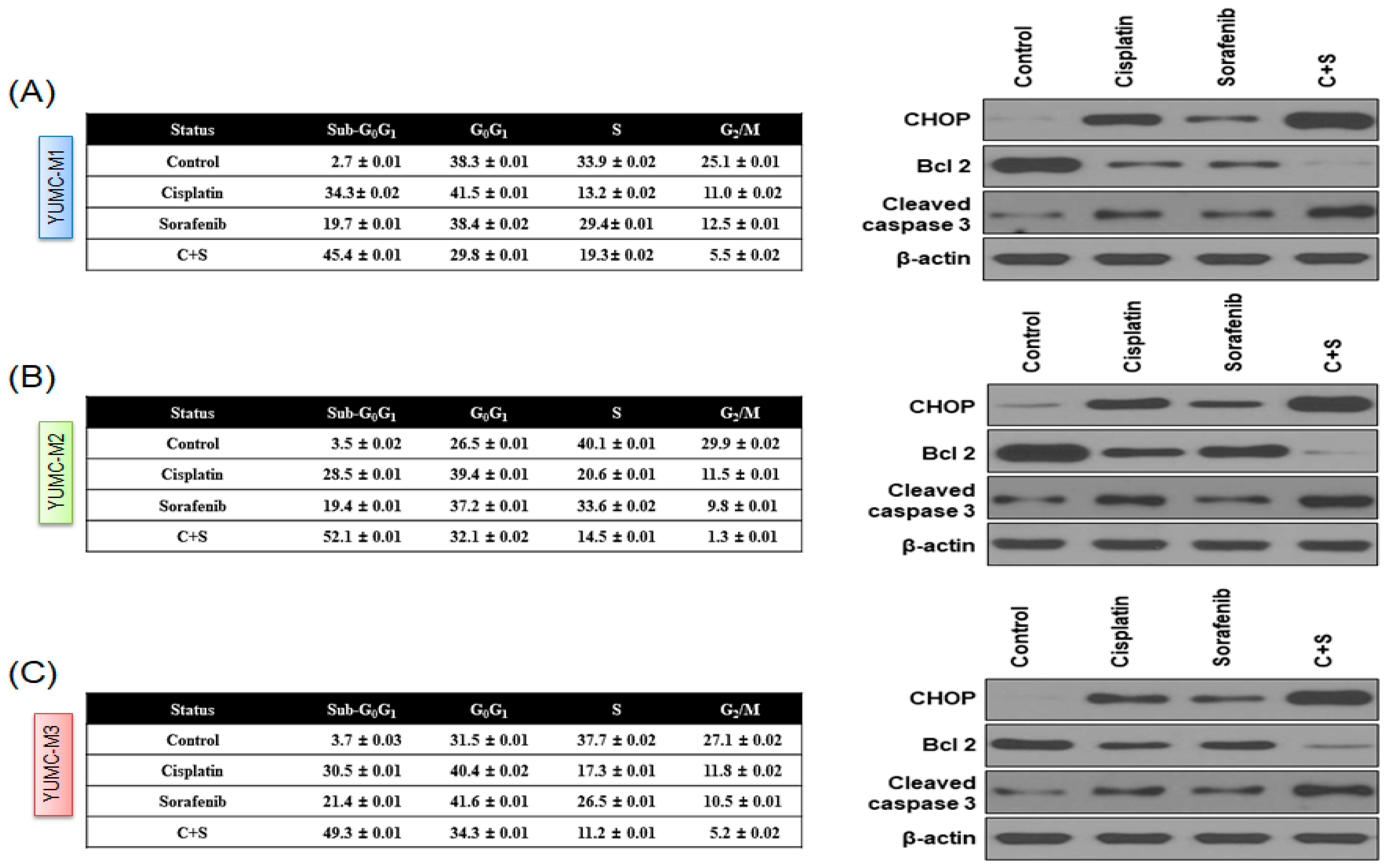 Biomedicines 10 01901 g004a Biomedicines 10 01901 g004a