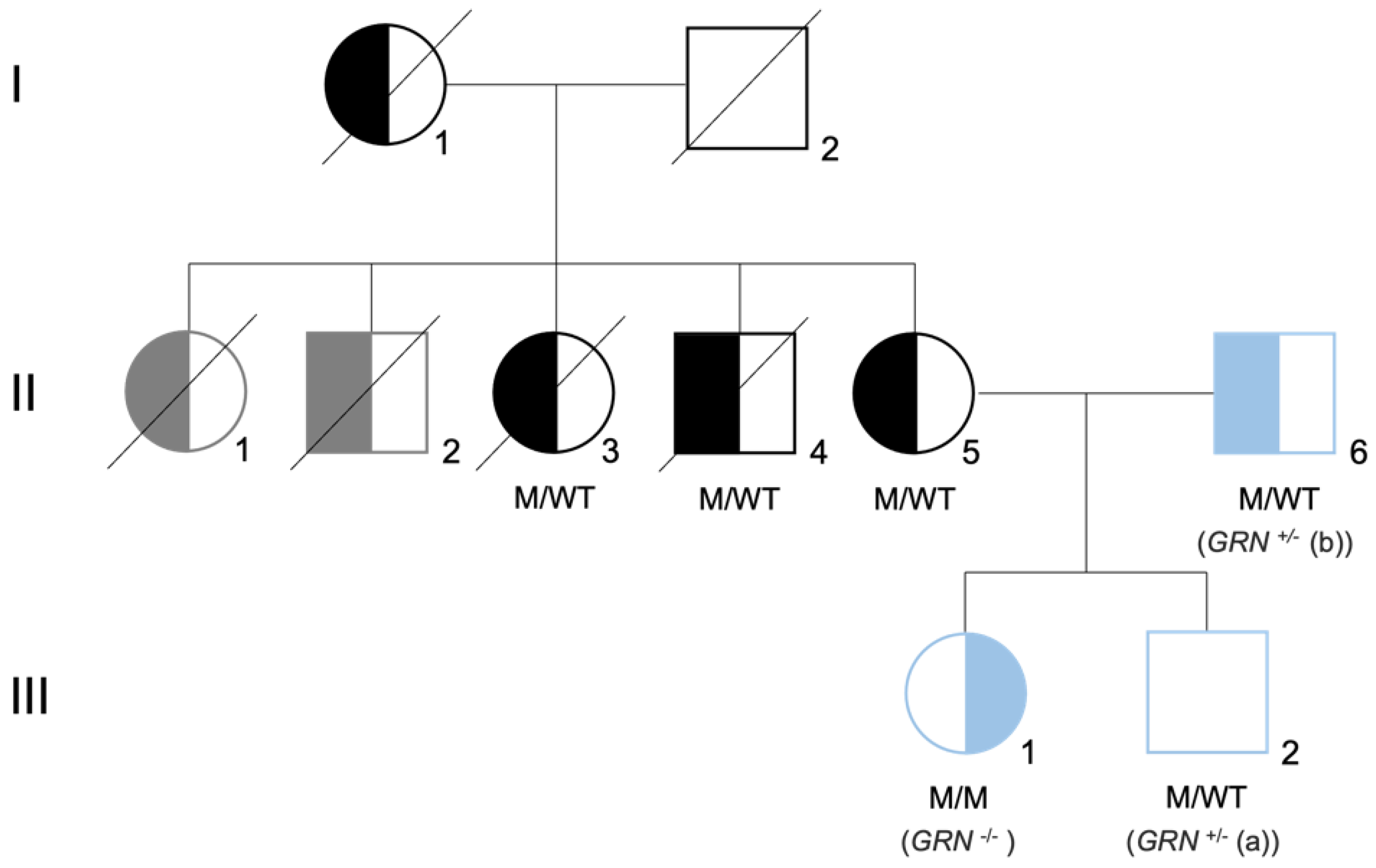 Biomedicines 10 01905 g001