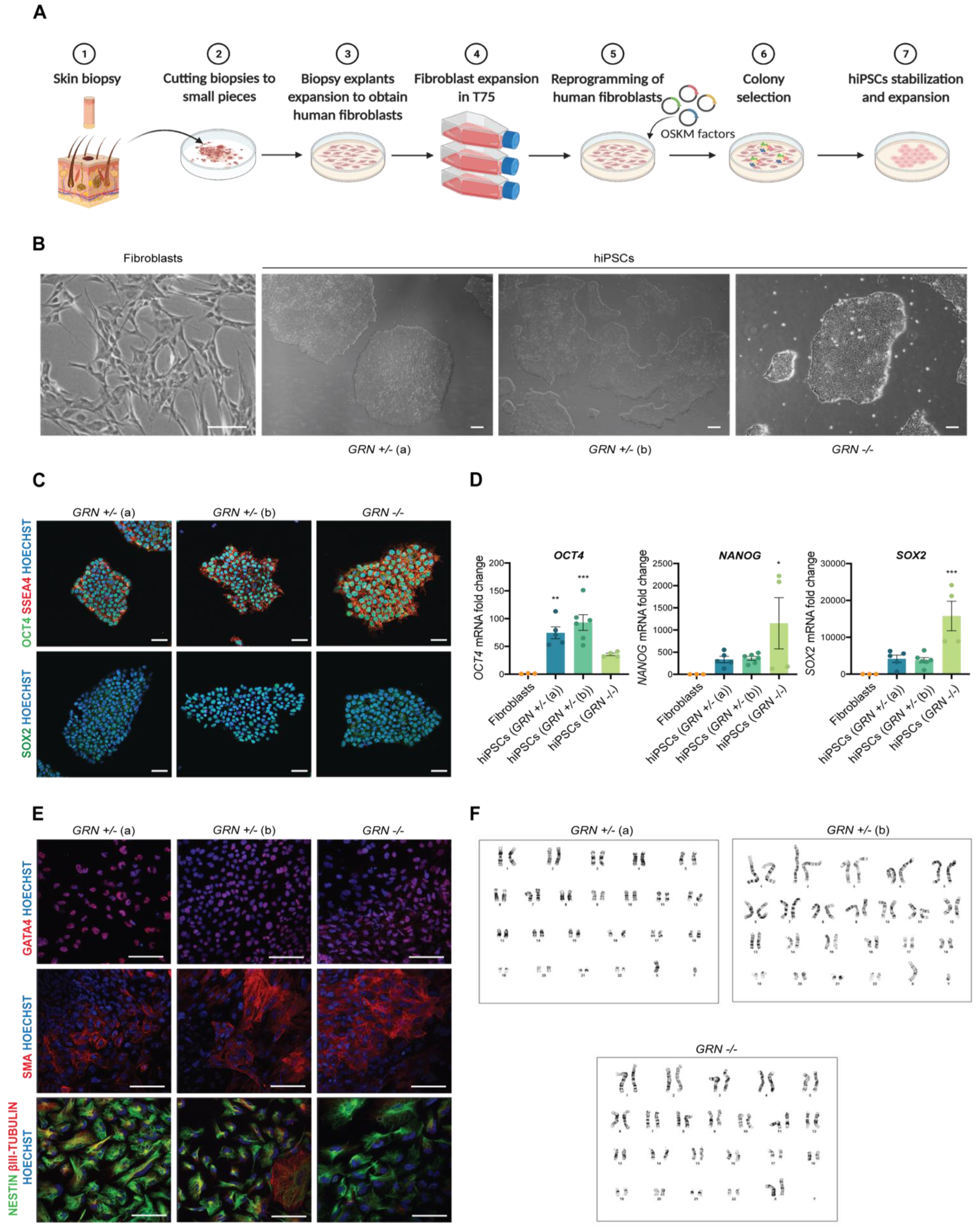 Biomedicines 10 01905 g002